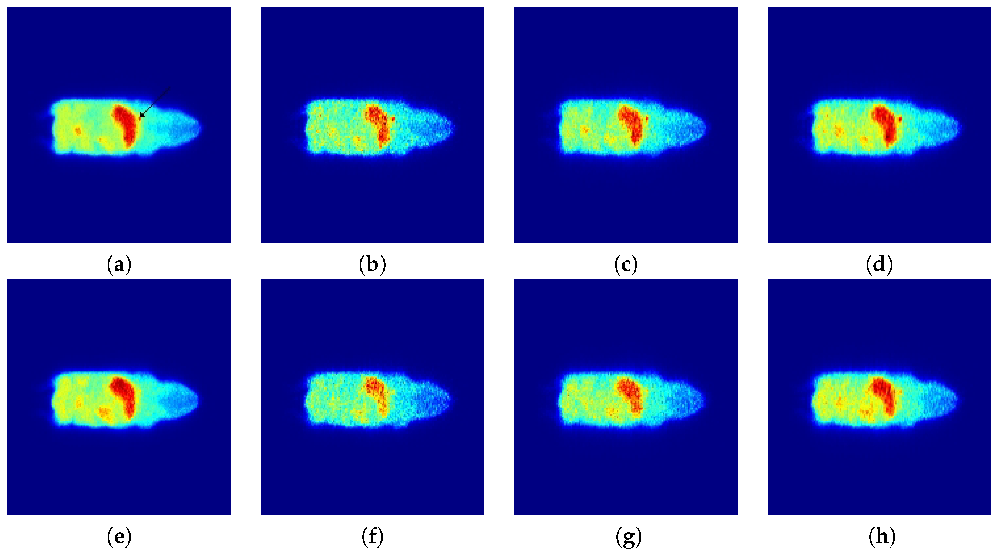 Entropy 21 00083 g005 550