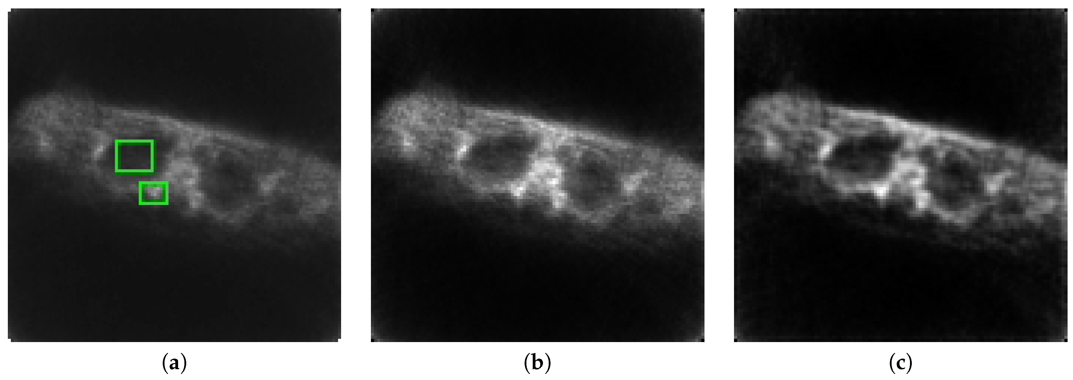 Entropy 21 00083 g007 550