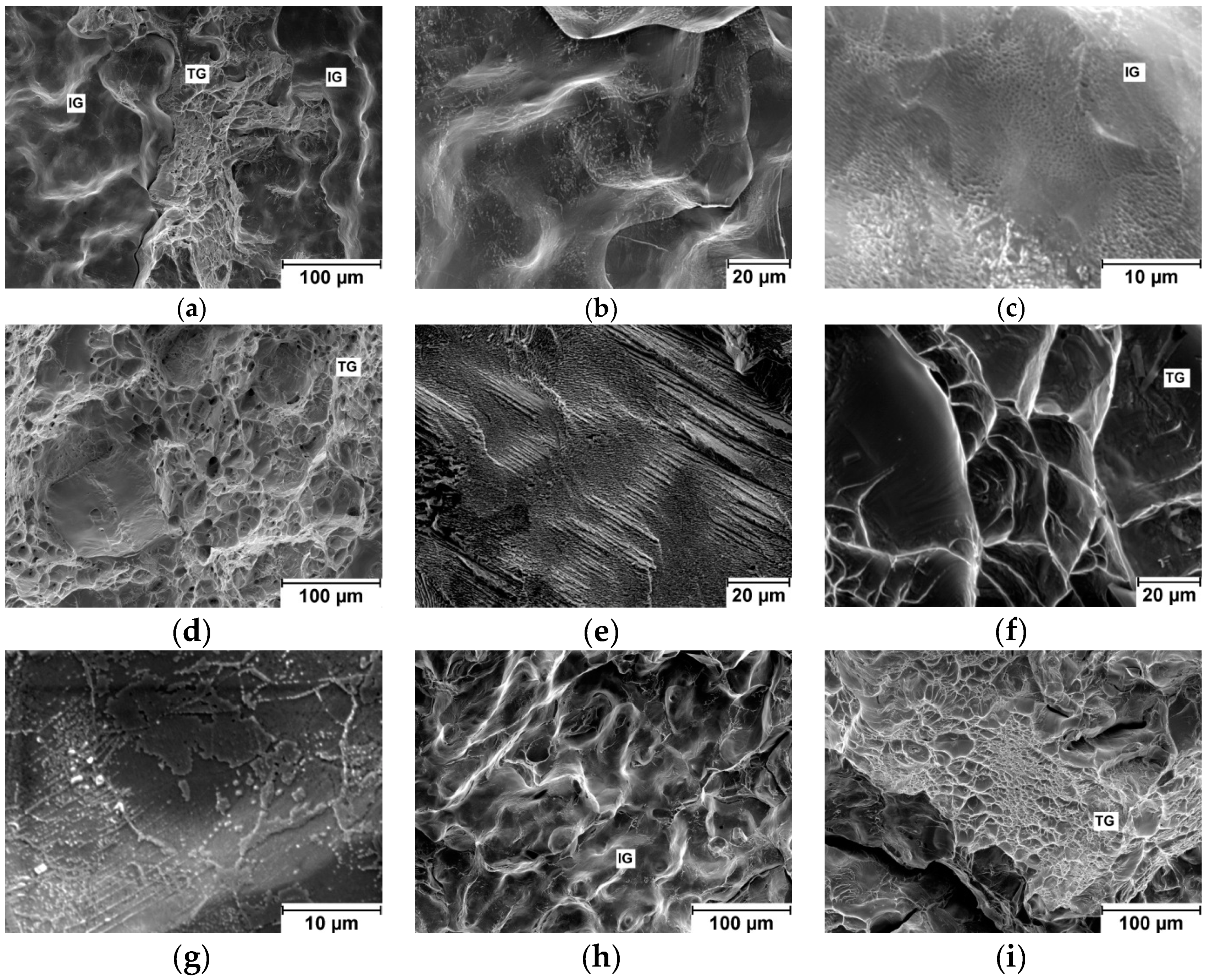 Entropy 21 00114 g002