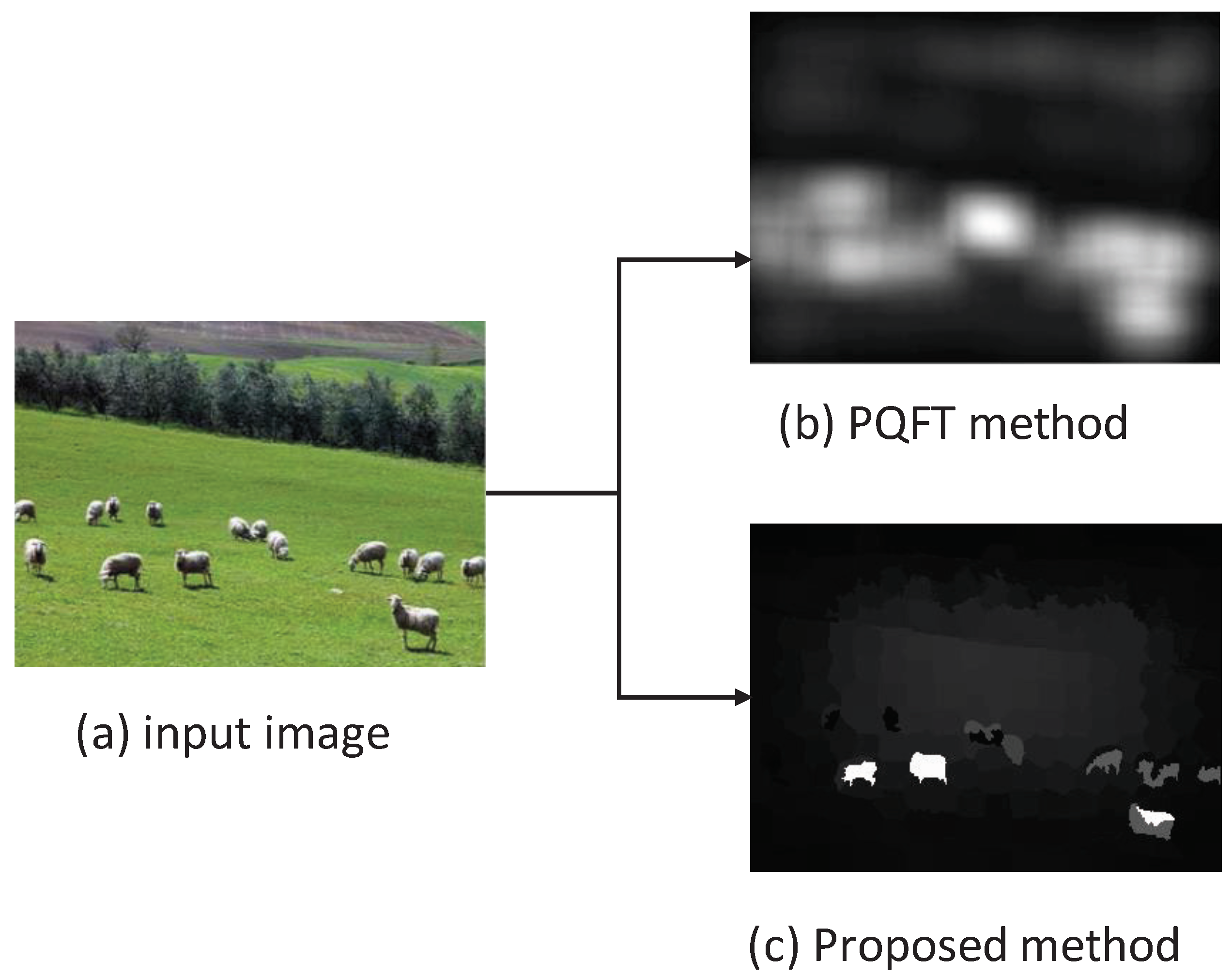 Entropy 21 00165 g004
