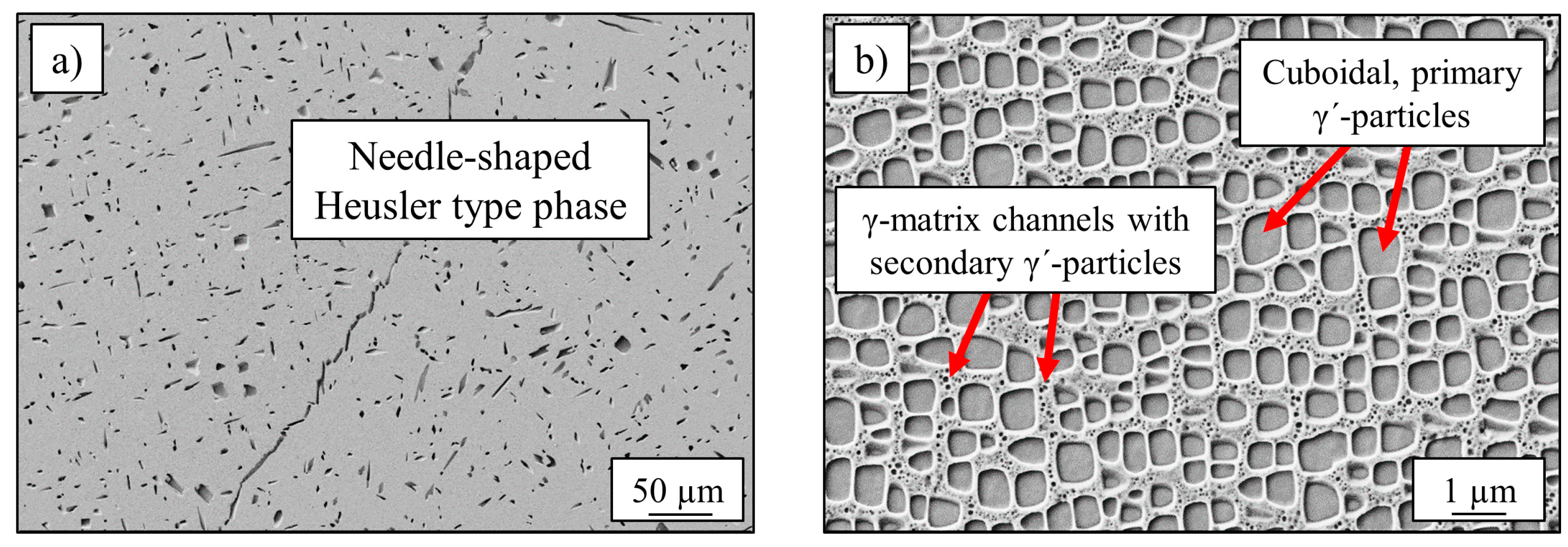 Entropy 21 00169 g001 550