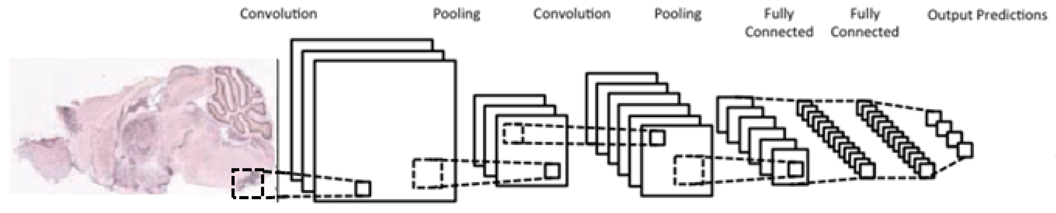 Entropy 21 00221 g005