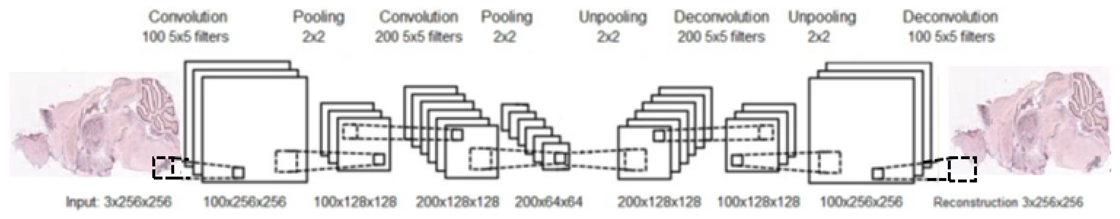 Entropy 21 00221 g008