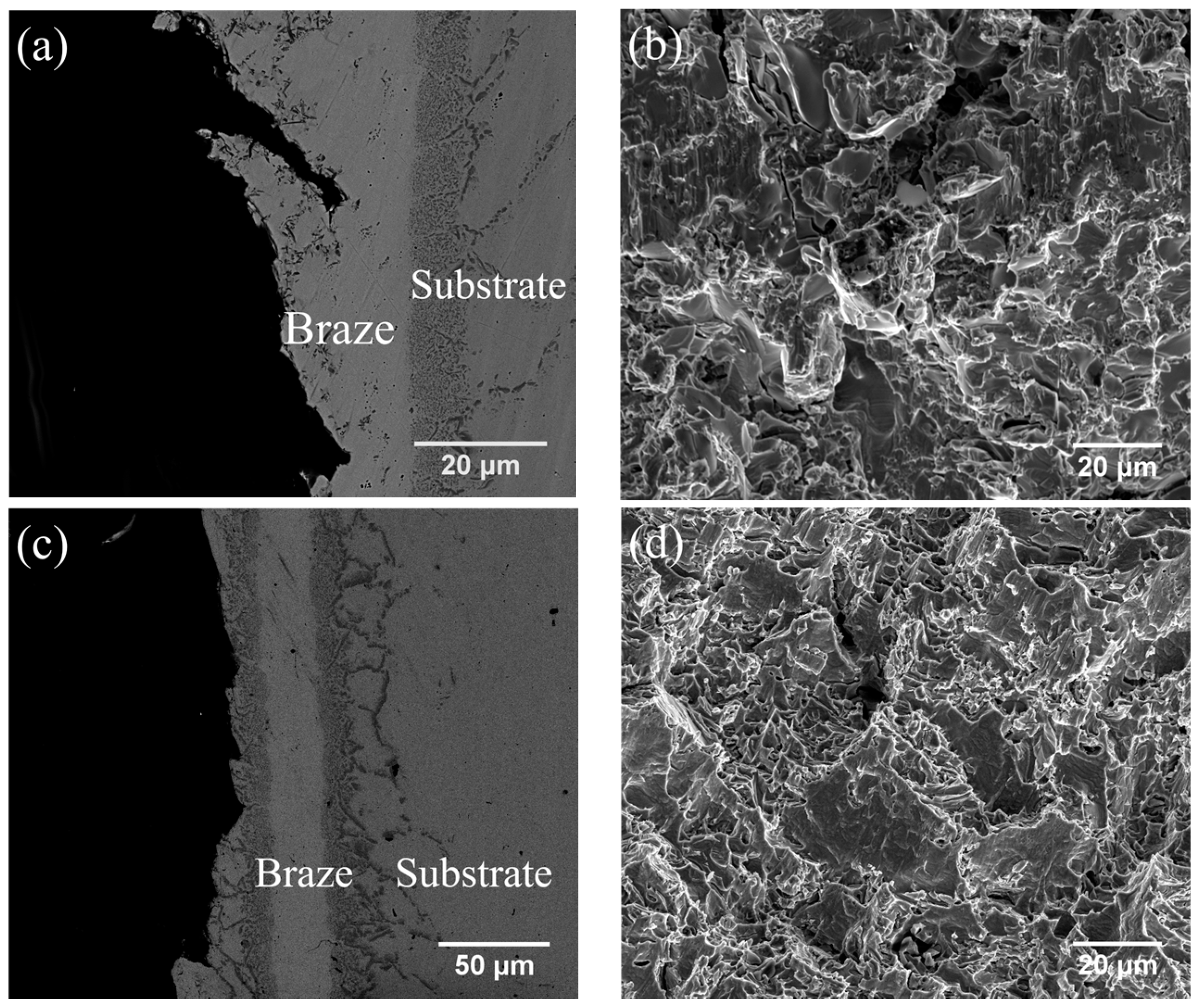 Entropy 21 00283 g005 Entropy 21 00283 g005