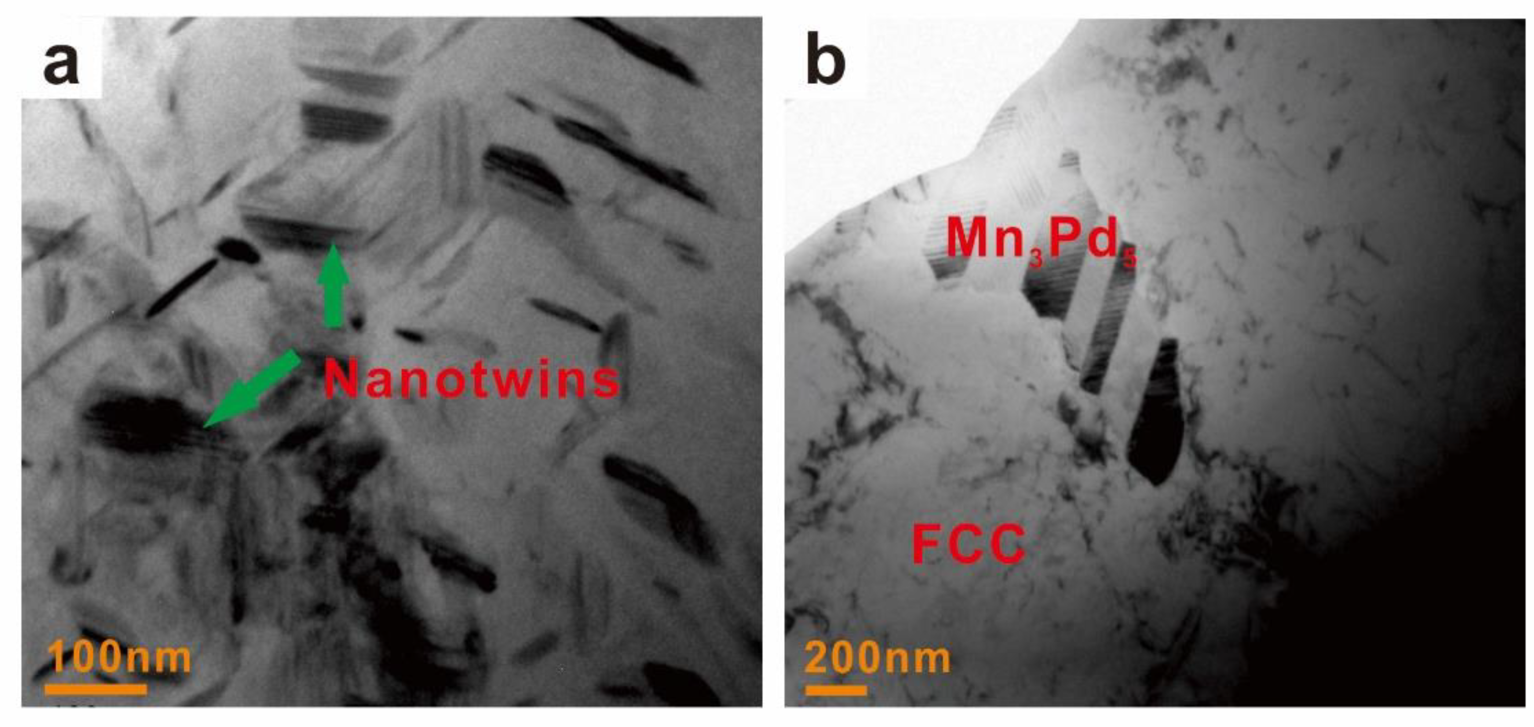 Entropy 21 00288 g010