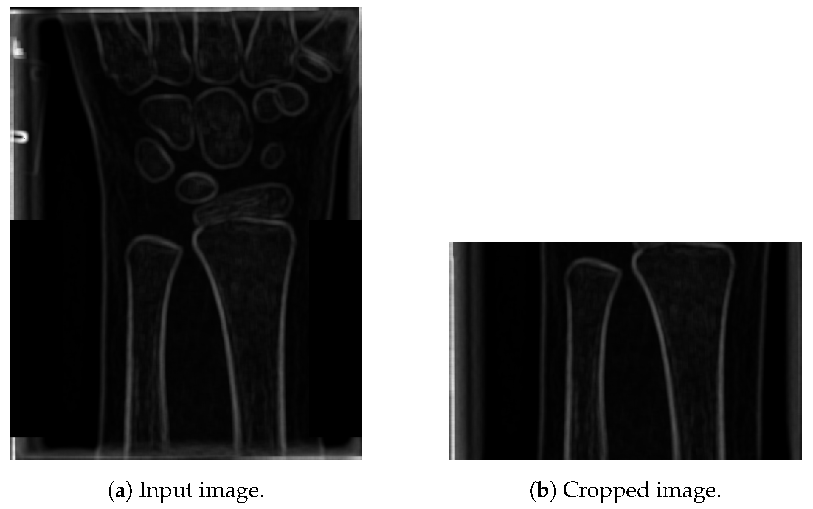 Entropy 21 00338 g006 Entropy 21 00338 g006