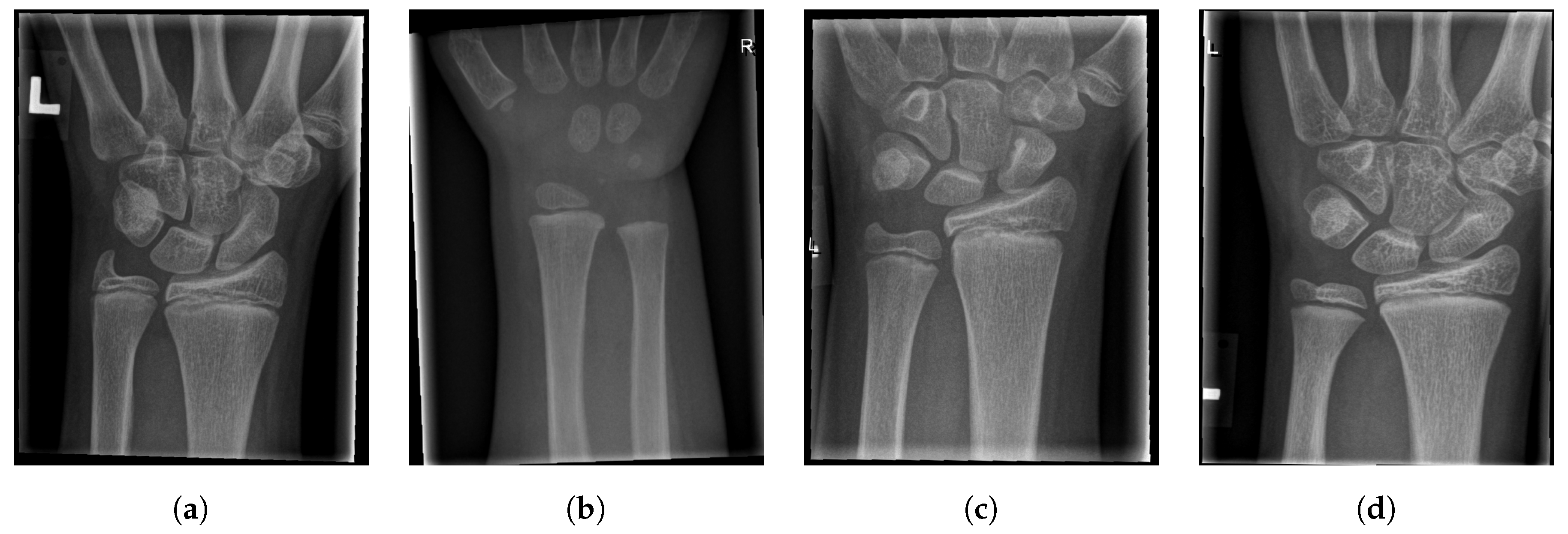 Entropy 21 00338 g018 Entropy 21 00338 g018