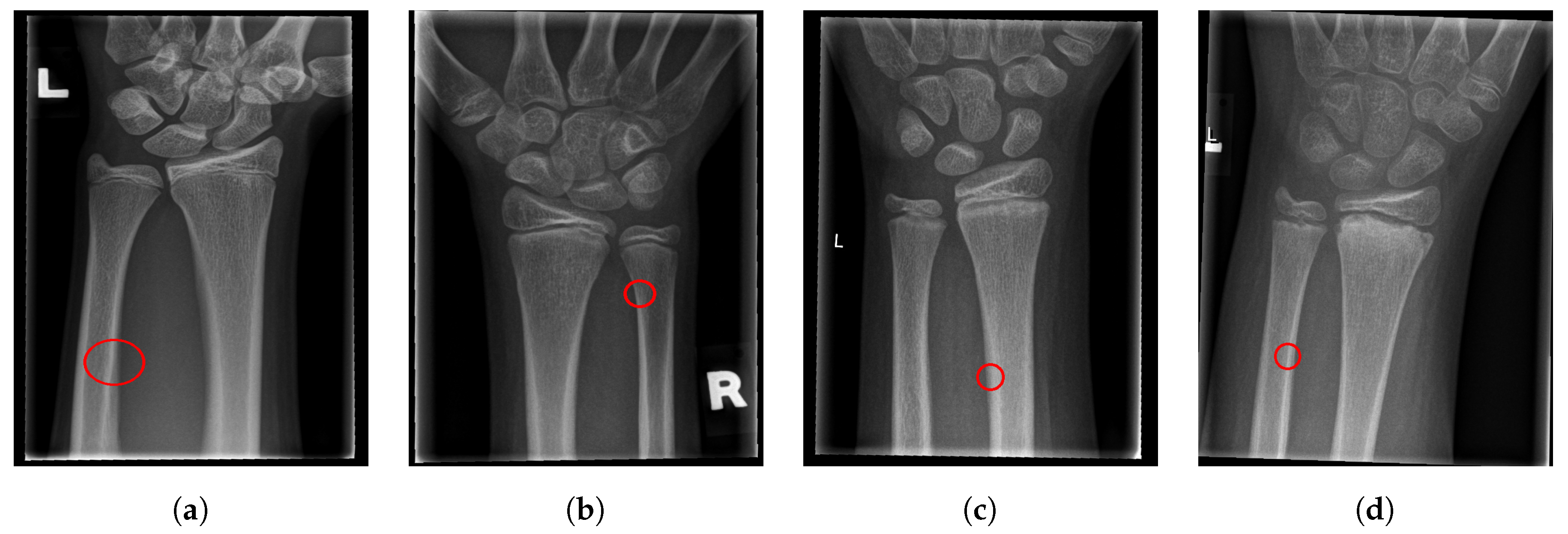 Entropy 21 00338 g019 Entropy 21 00338 g019