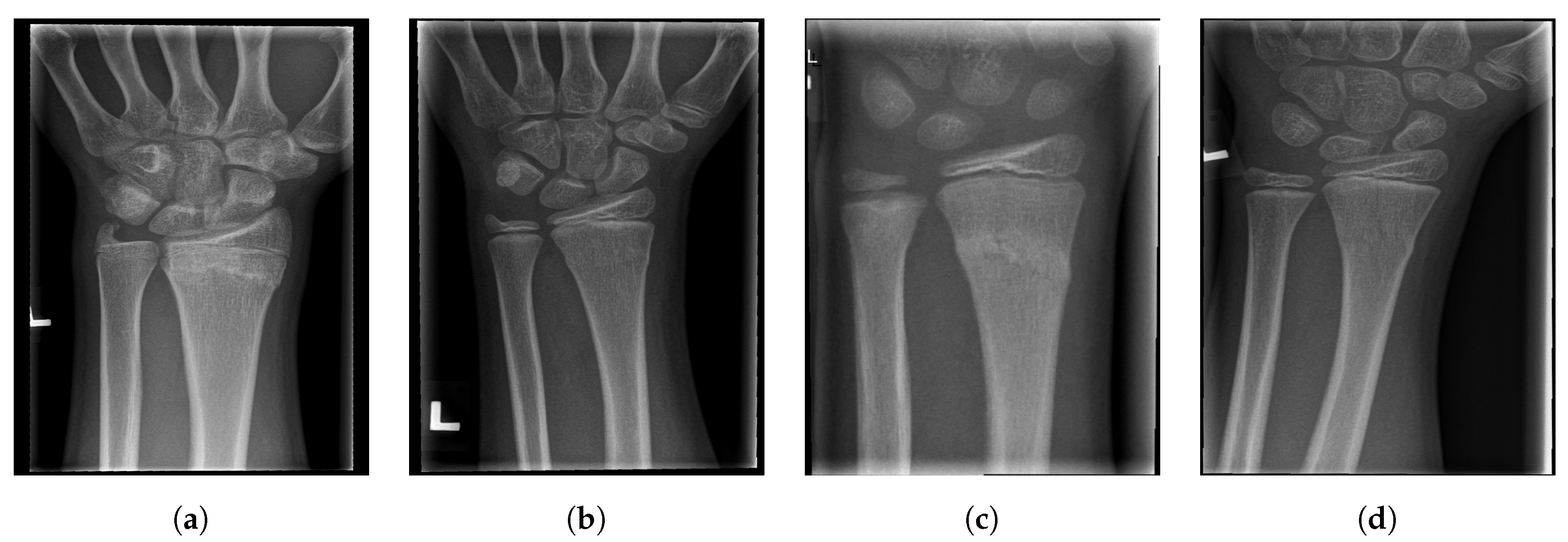 Entropy 21 00338 g020 Entropy 21 00338 g020