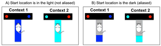 view Molecular building blocks for nanotechnology :