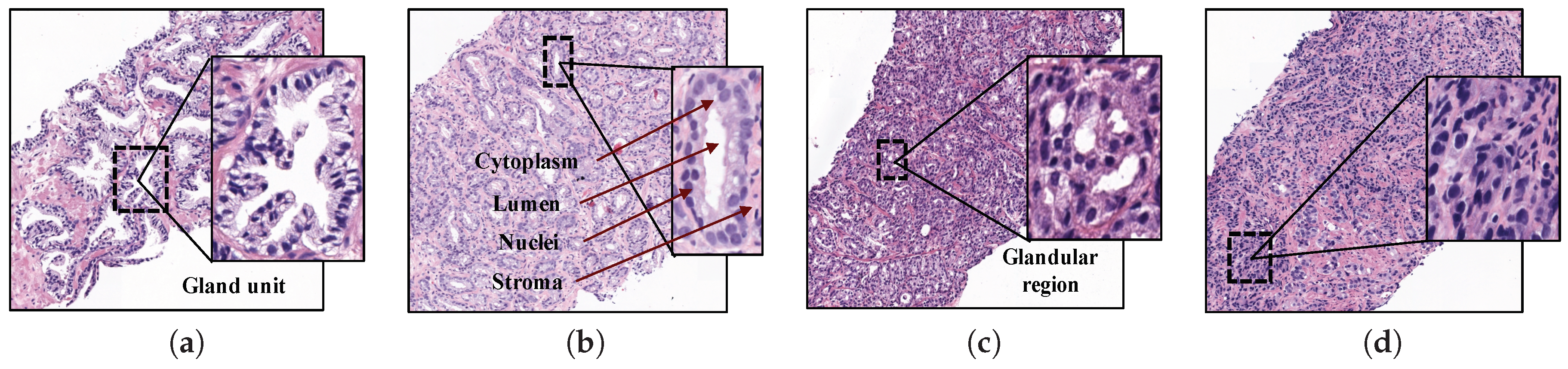 Entropy 21 00356 g001 Entropy 21 00356 g001