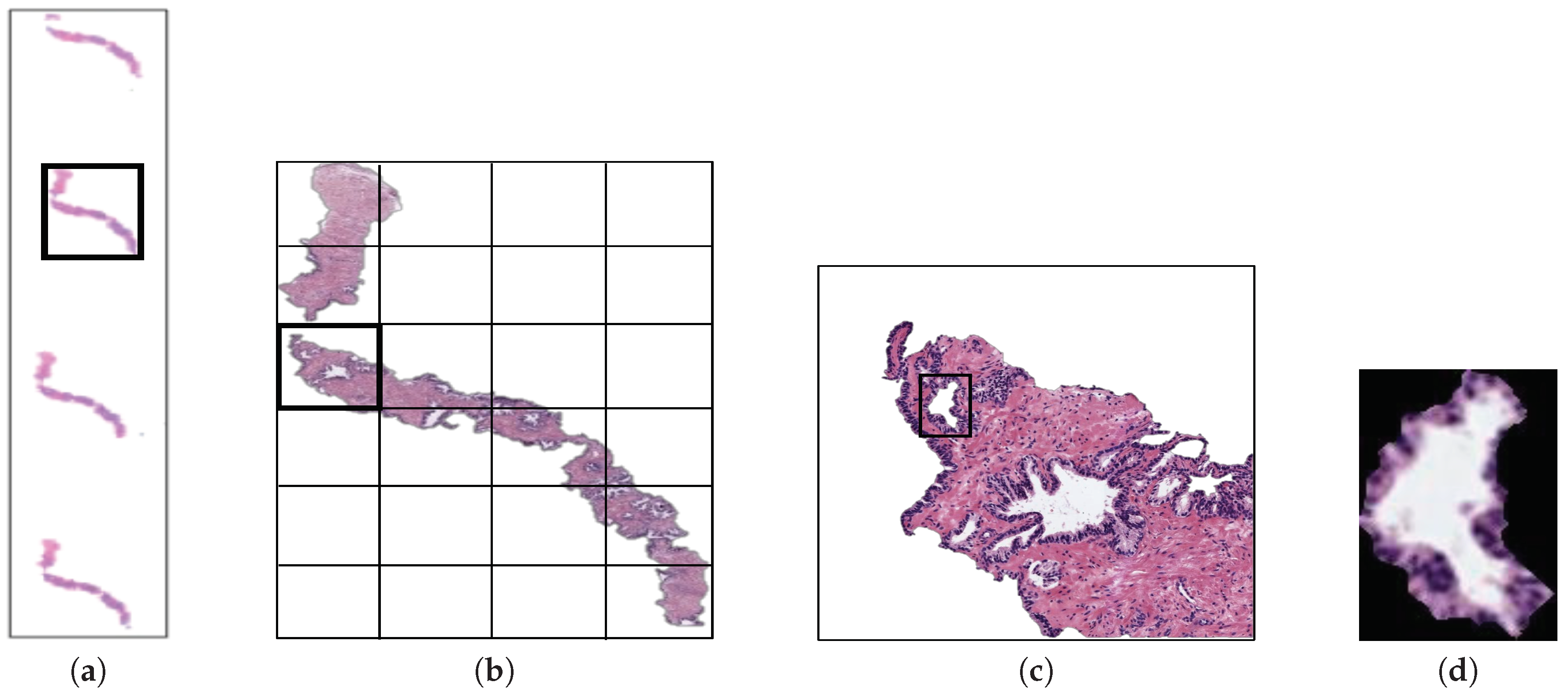 Entropy 21 00356 g002 Entropy 21 00356 g002