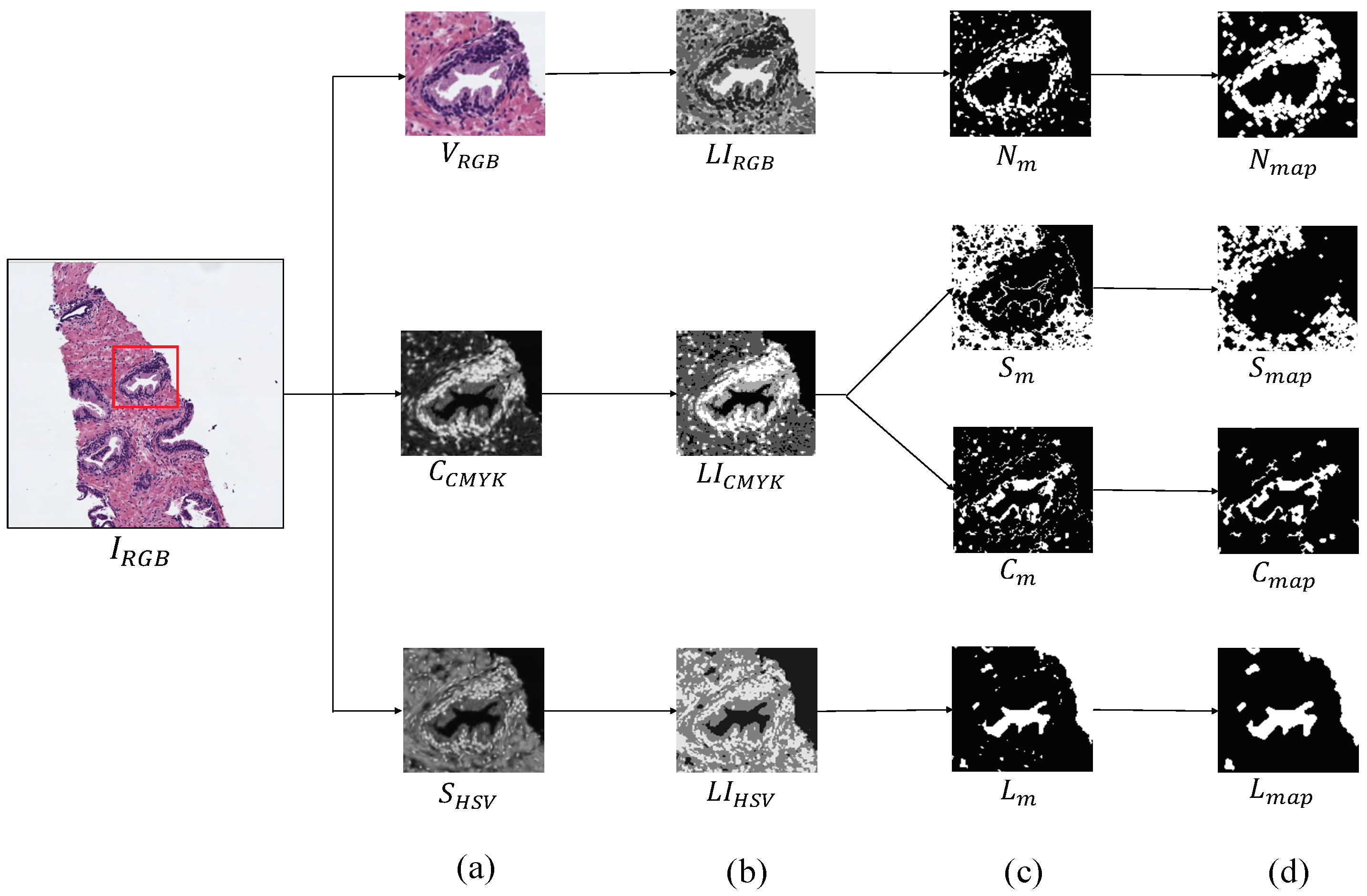 Entropy 21 00356 g004 Entropy 21 00356 g004