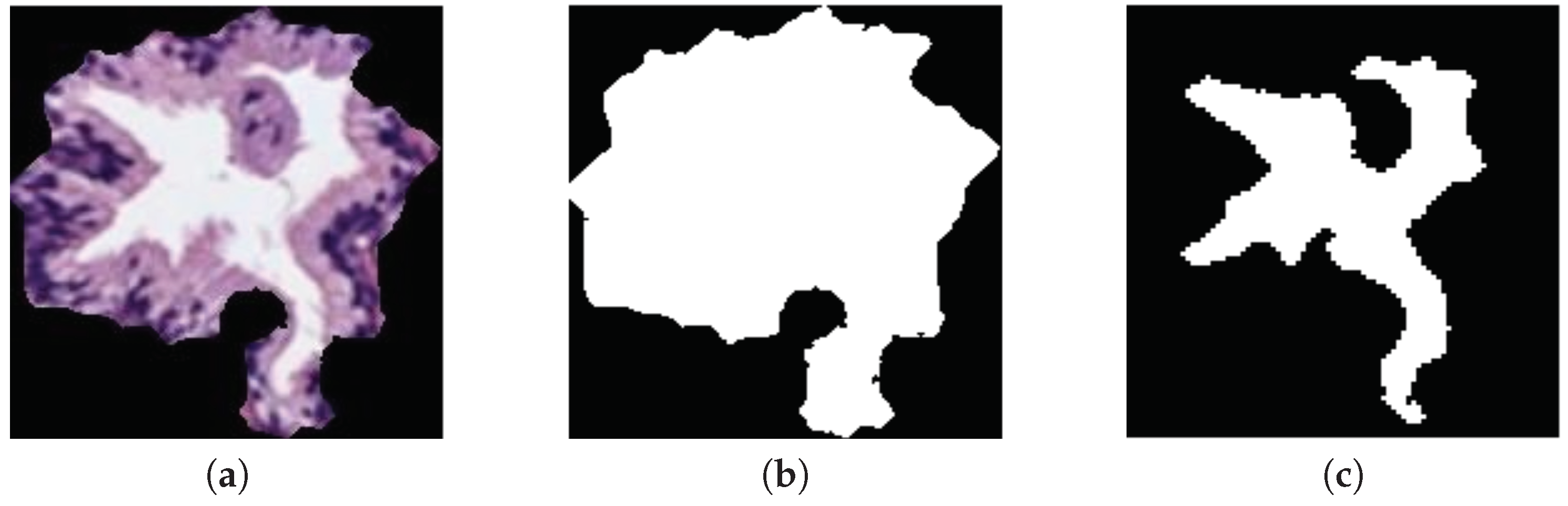 Entropy 21 00356 g005 Entropy 21 00356 g005