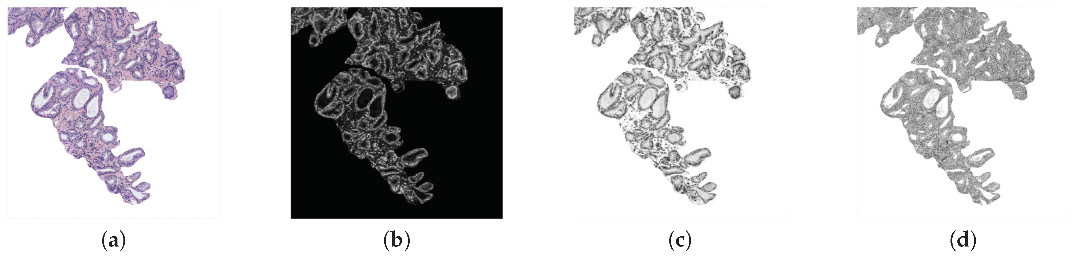 Entropy 21 00356 g006 Entropy 21 00356 g006