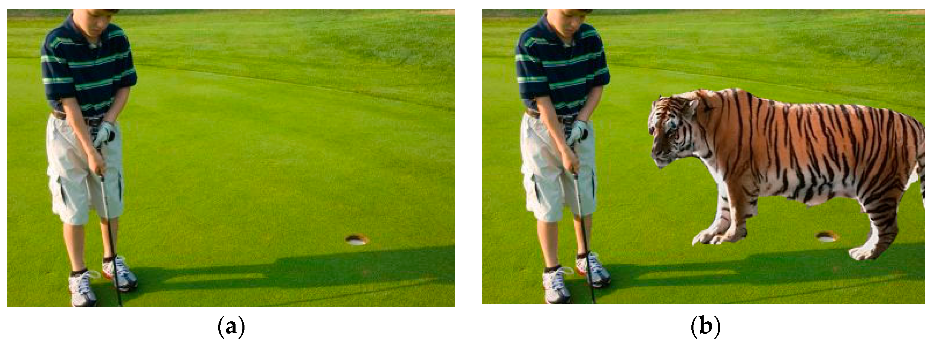 Entropy 21 00371 g001