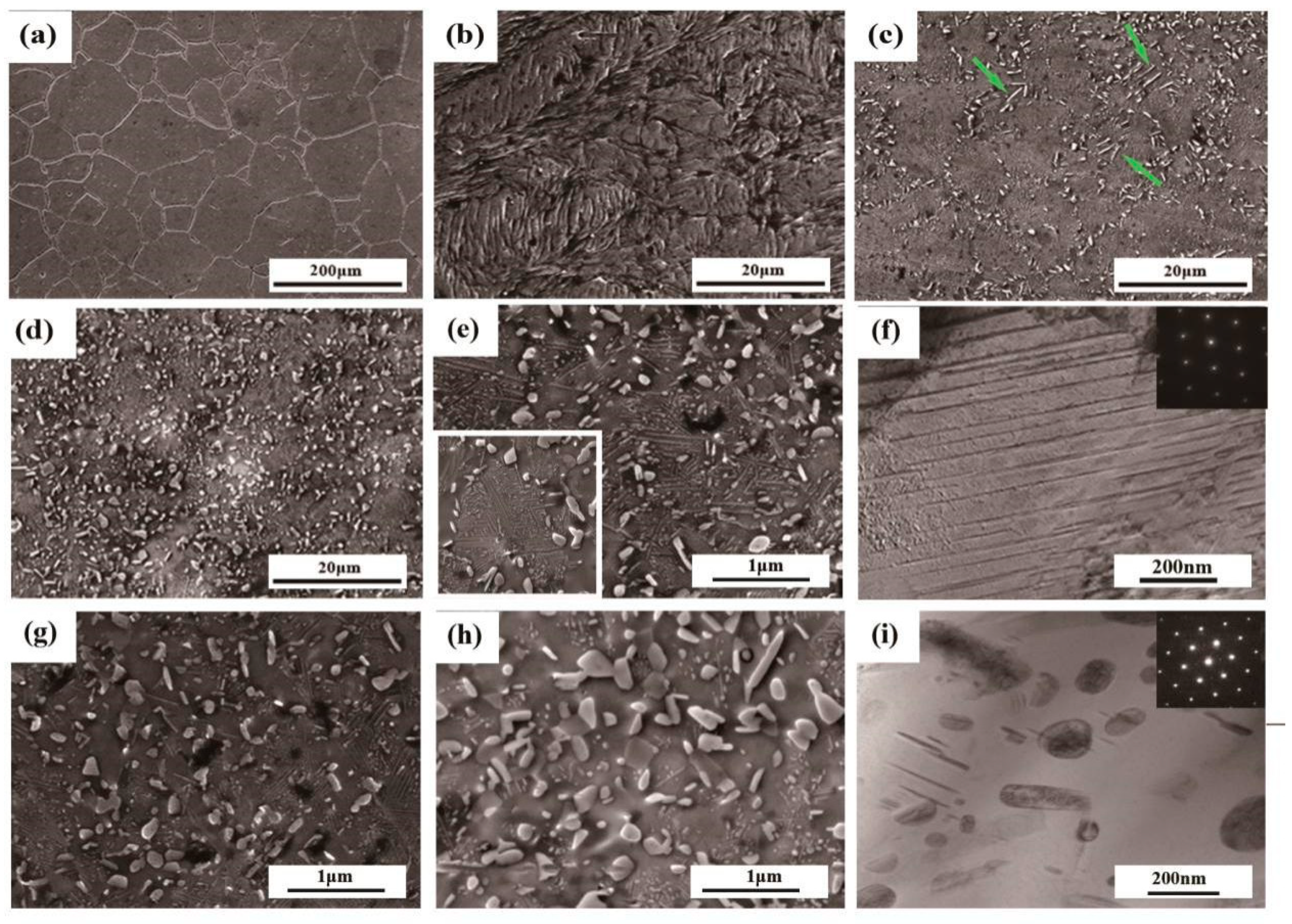 Entropy 21 00389 g002 Entropy 21 00389 g002