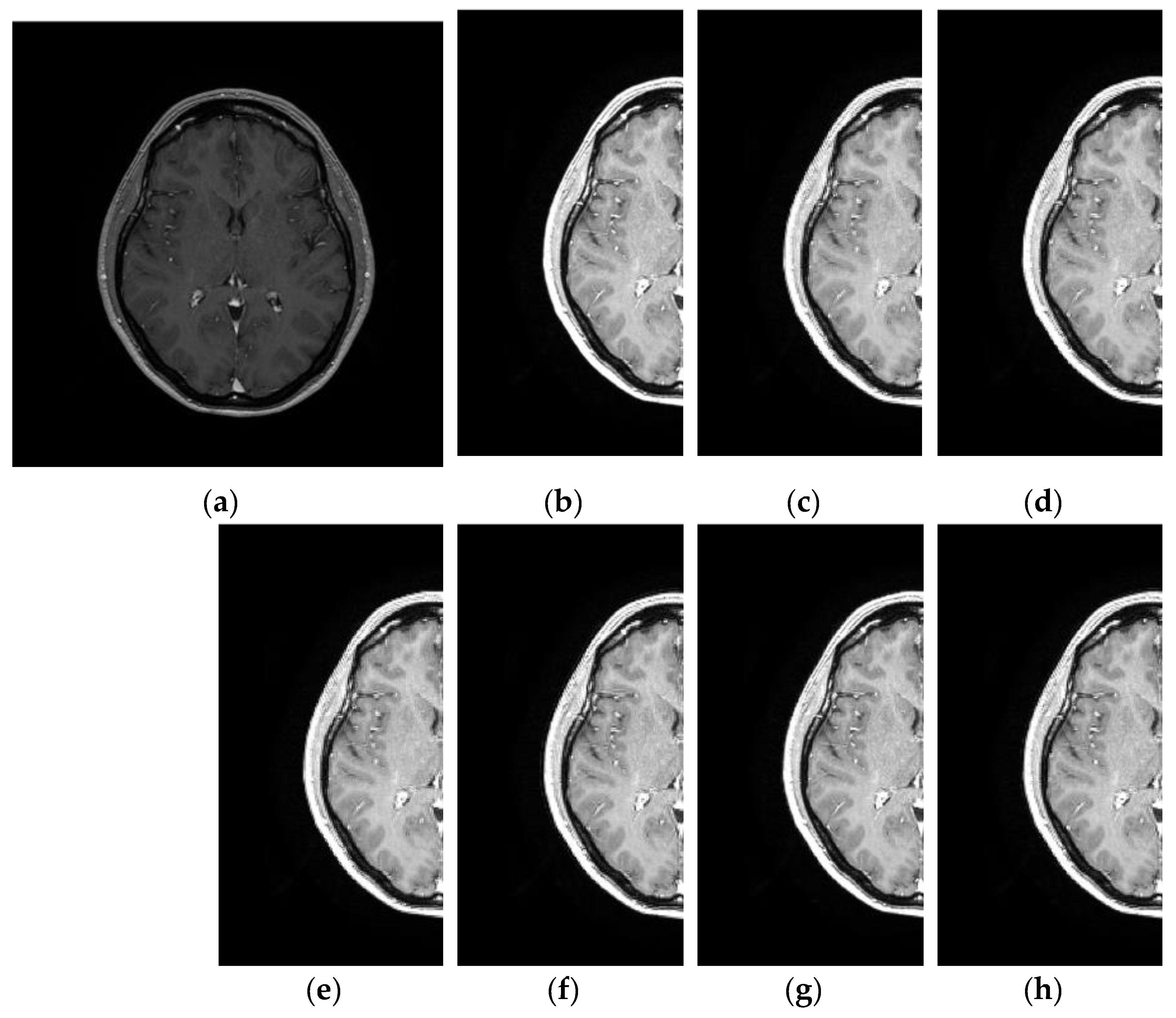 Entropy 21 00401 g003