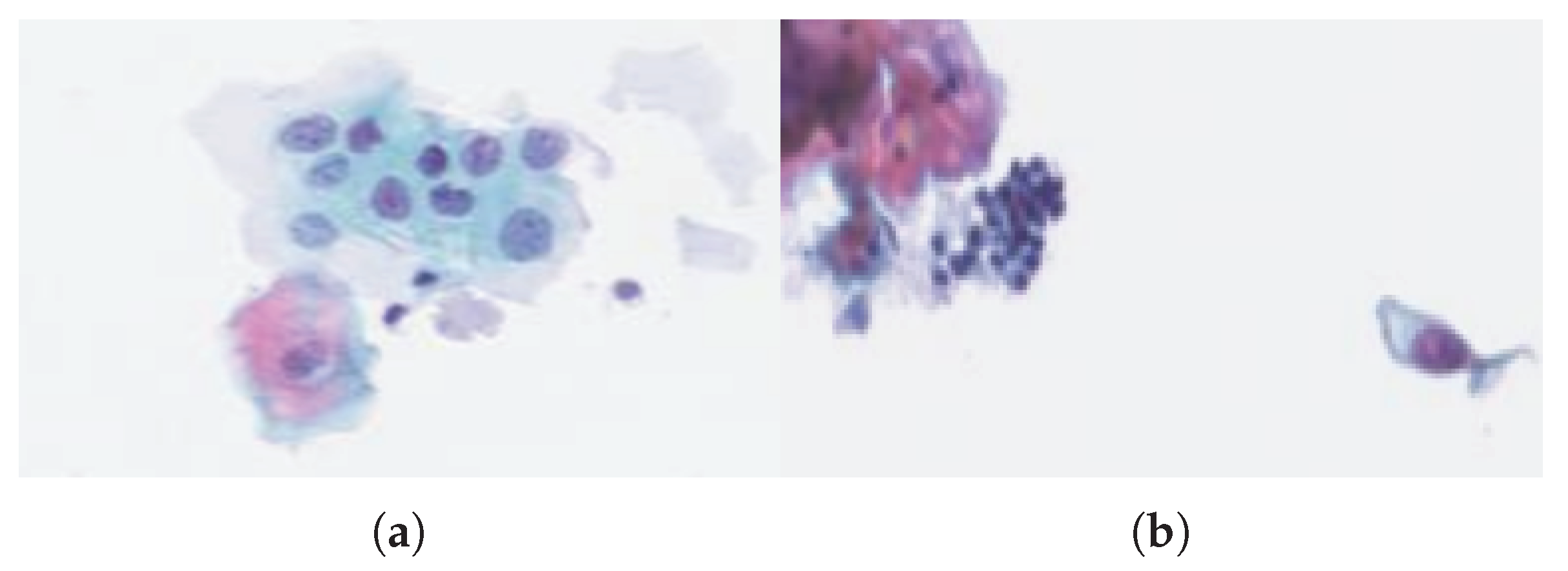 Entropy 21 00440 g004