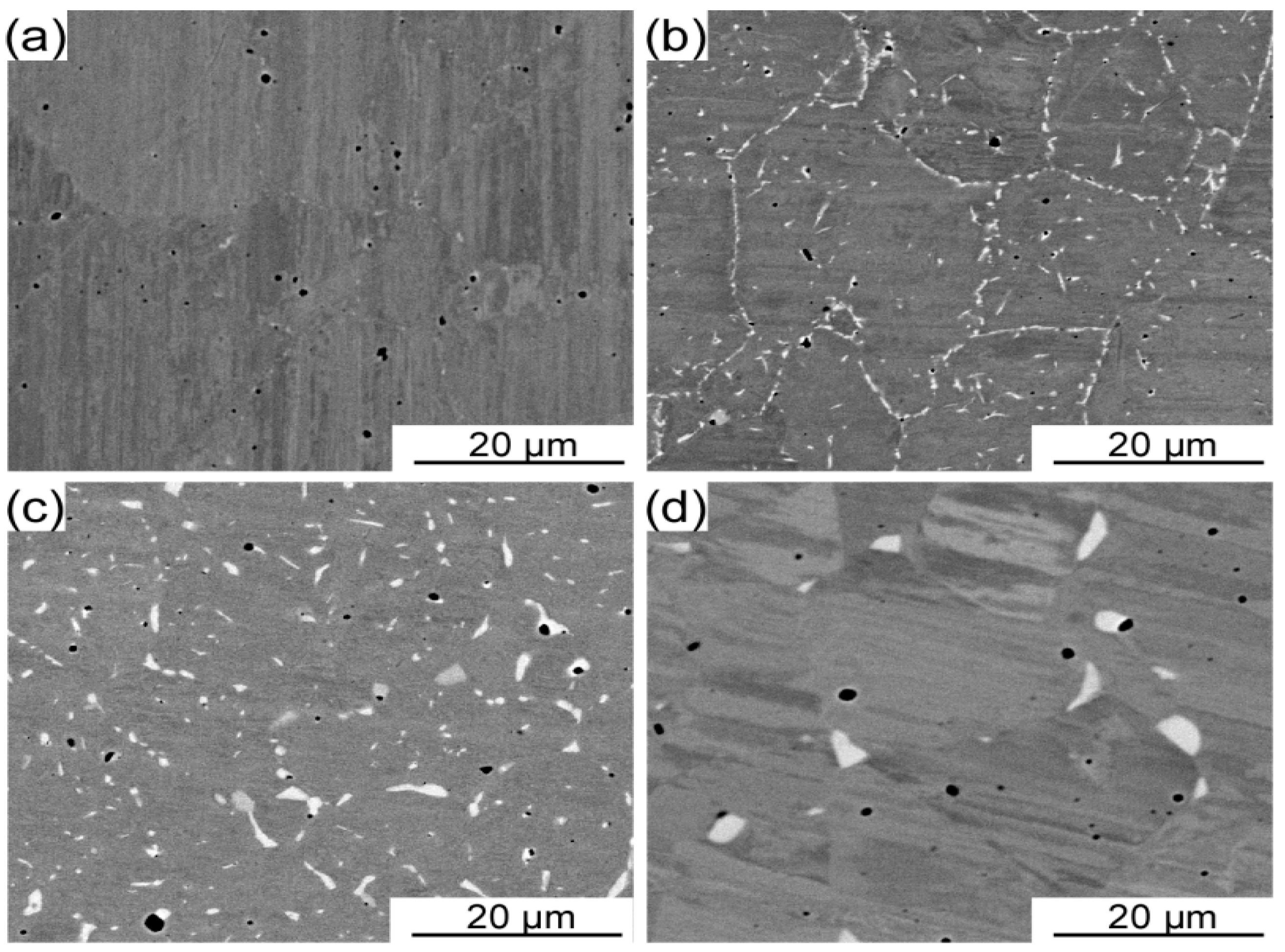 Entropy 21 00448 g002 Entropy 21 00448 g002