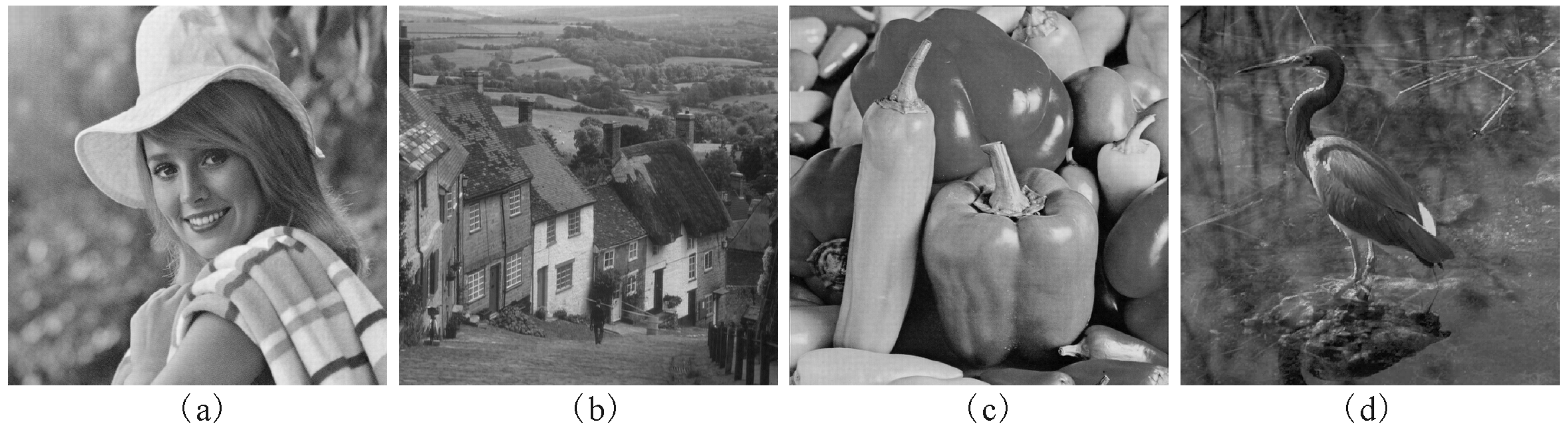 Entropy 21 00460 g003