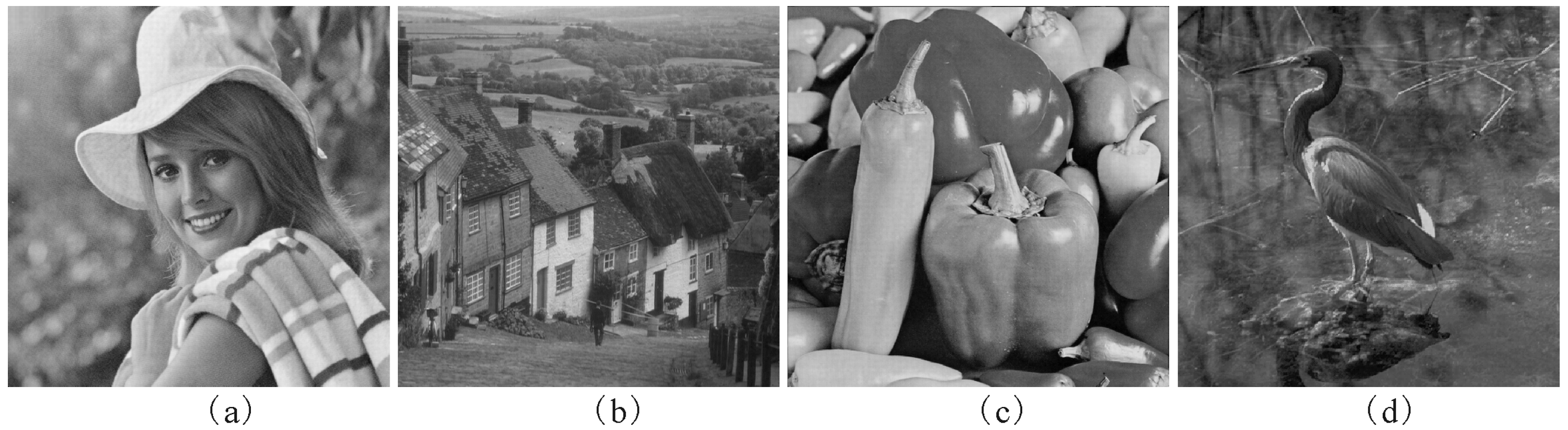 Entropy 21 00460 g004