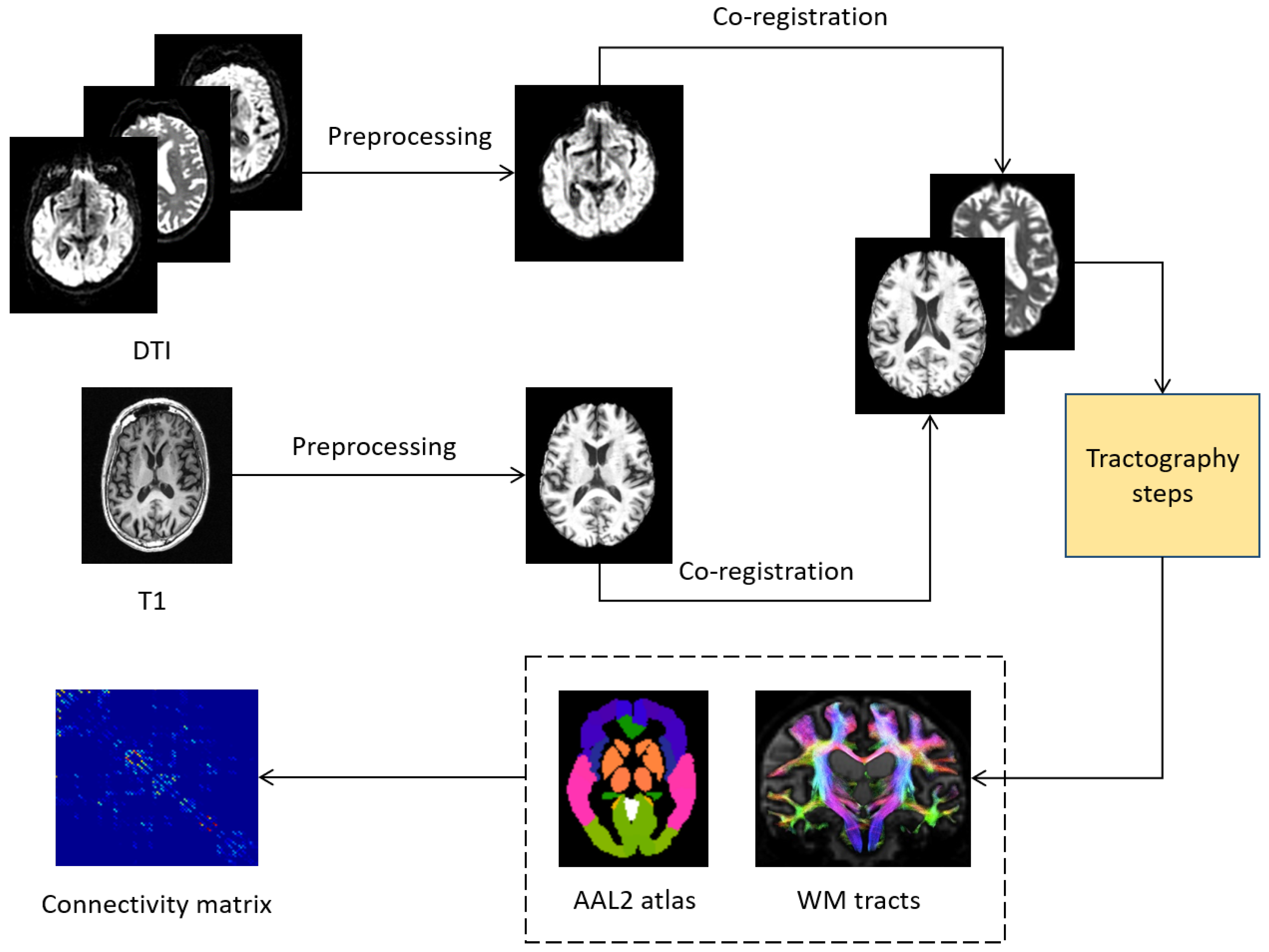 Entropy 21 00475 g001 550