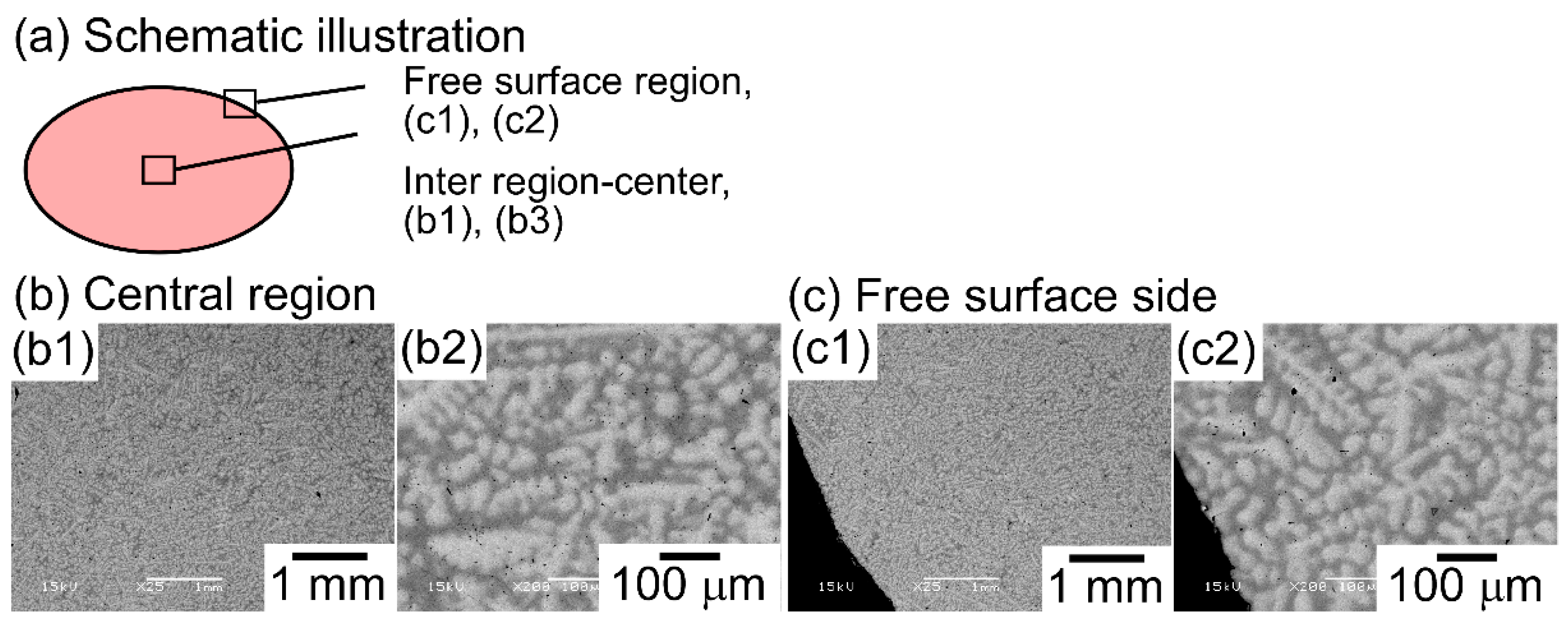 Entropy 21 00483 g008