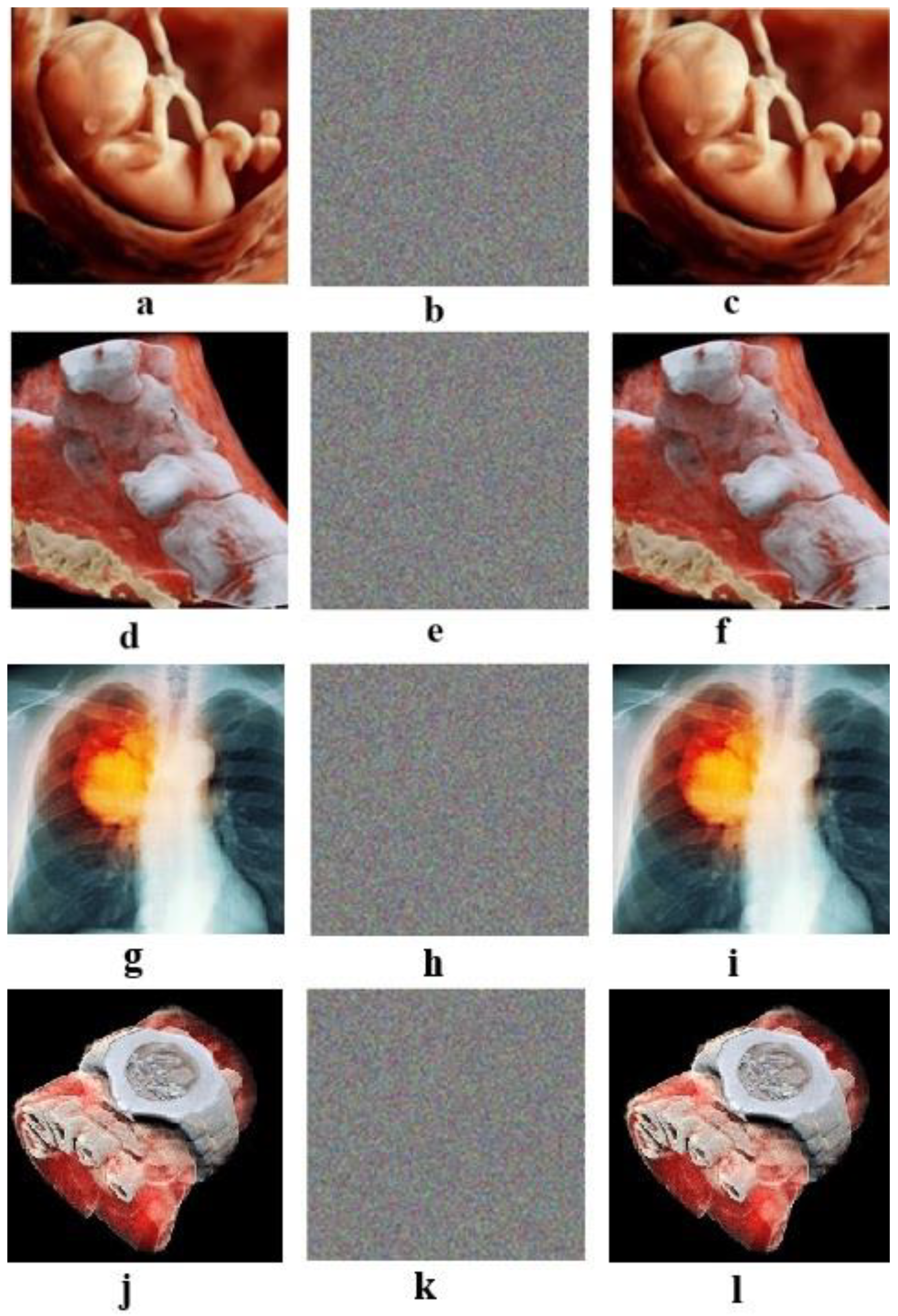 Entropy 21 00577 g003