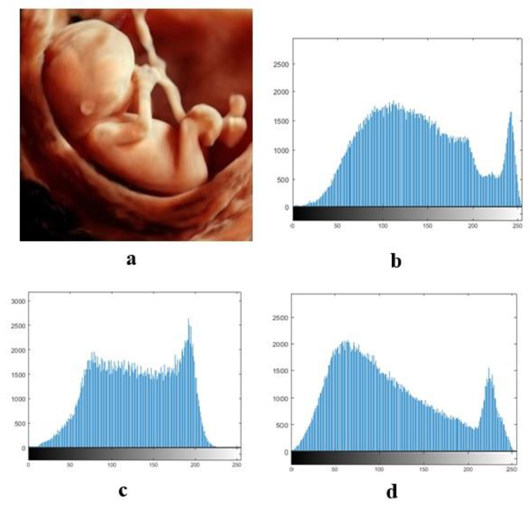 Entropy 21 00577 g004