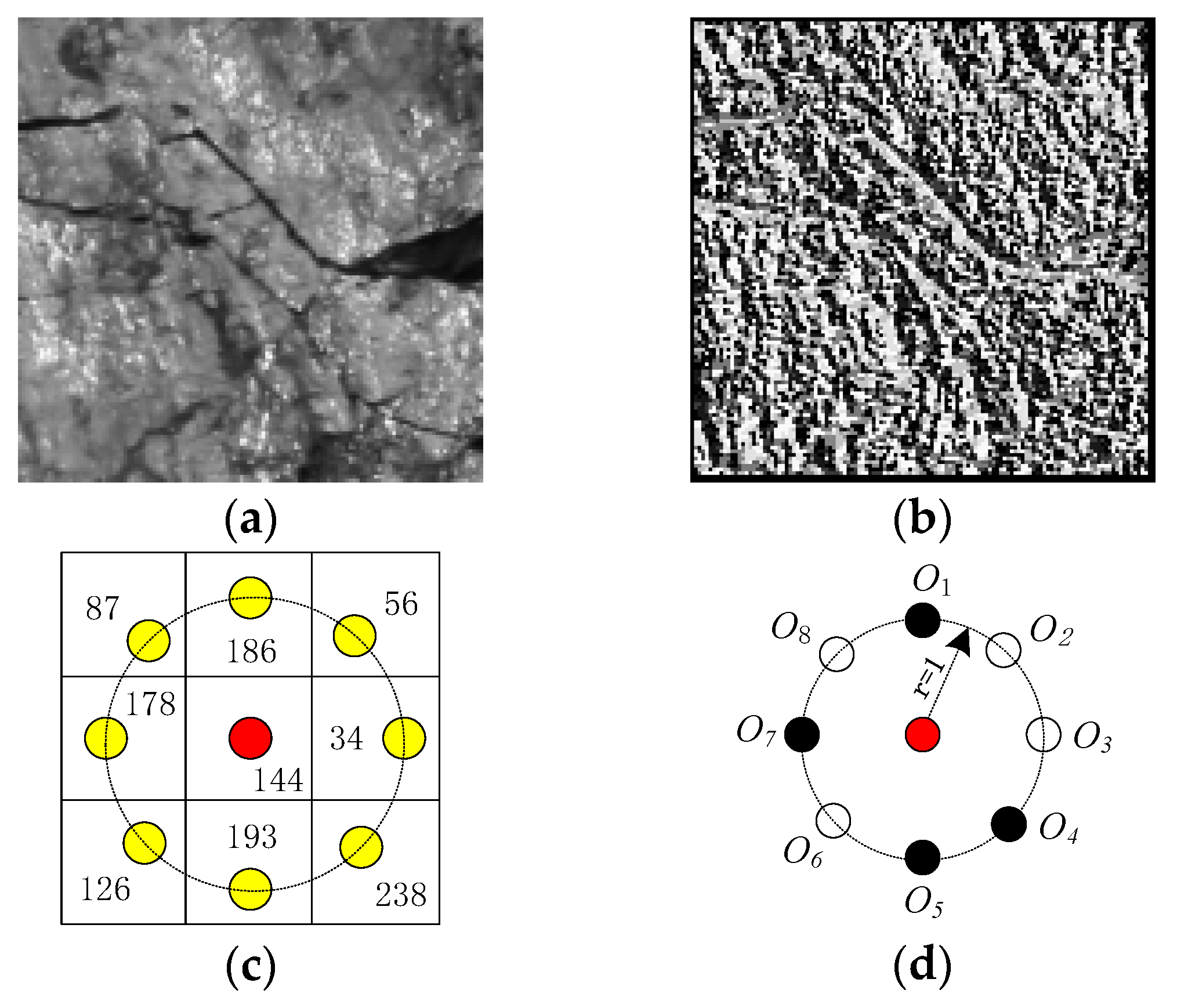 Entropy 21 00622 g002
