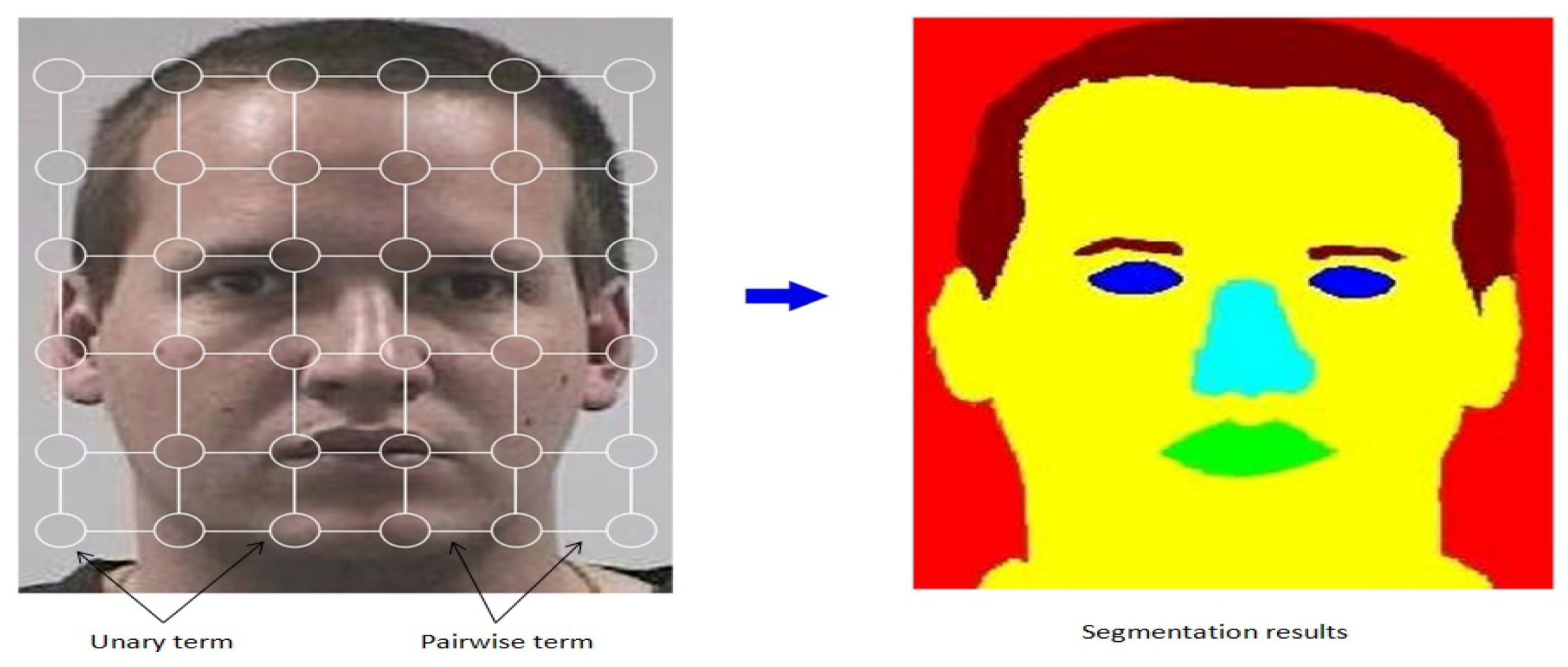 Сеарч4фейс. Сеарч фейс. Face Segmentation dataset. Segmentation head model. End face.