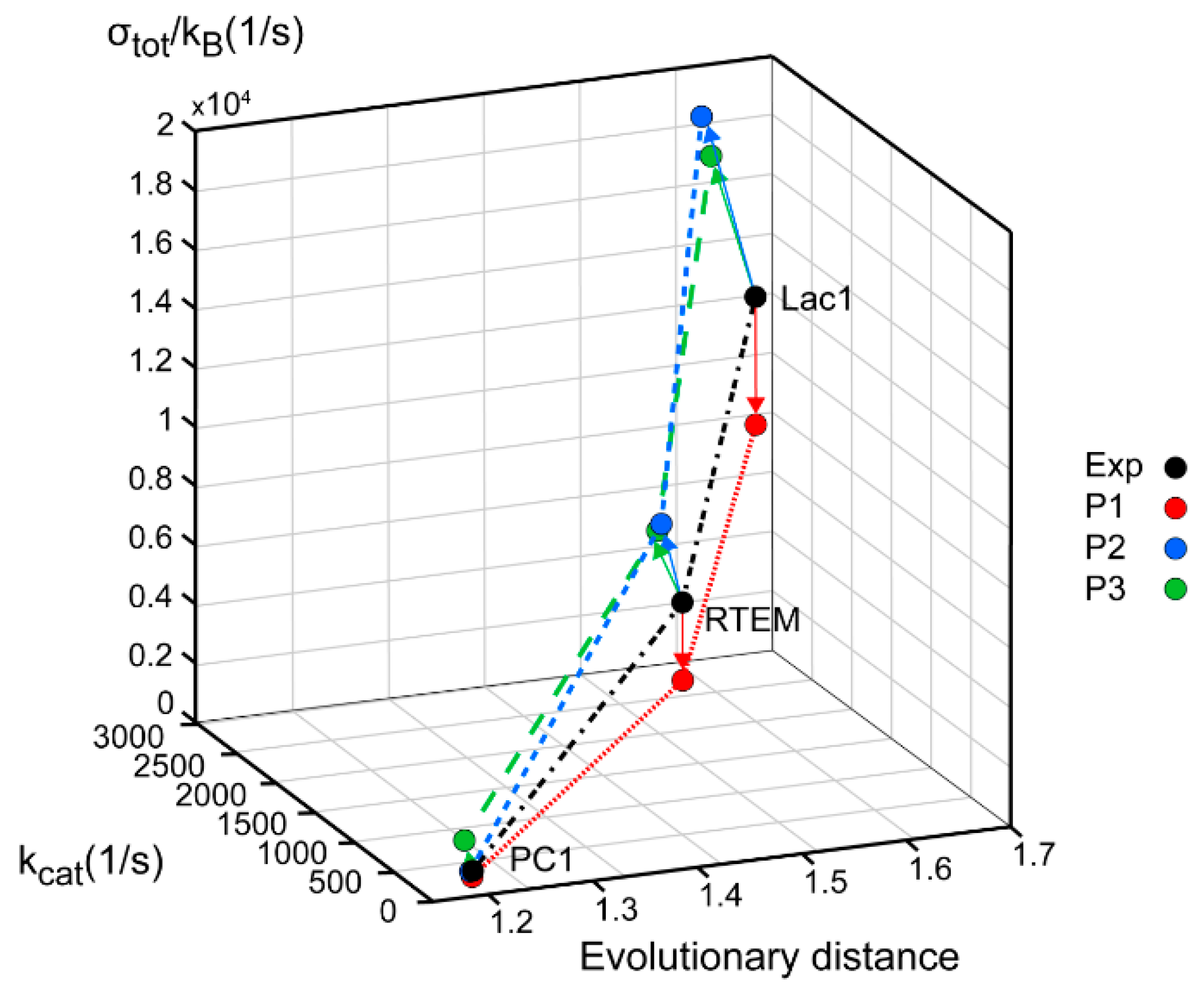 Entropy 21 00743 g003
