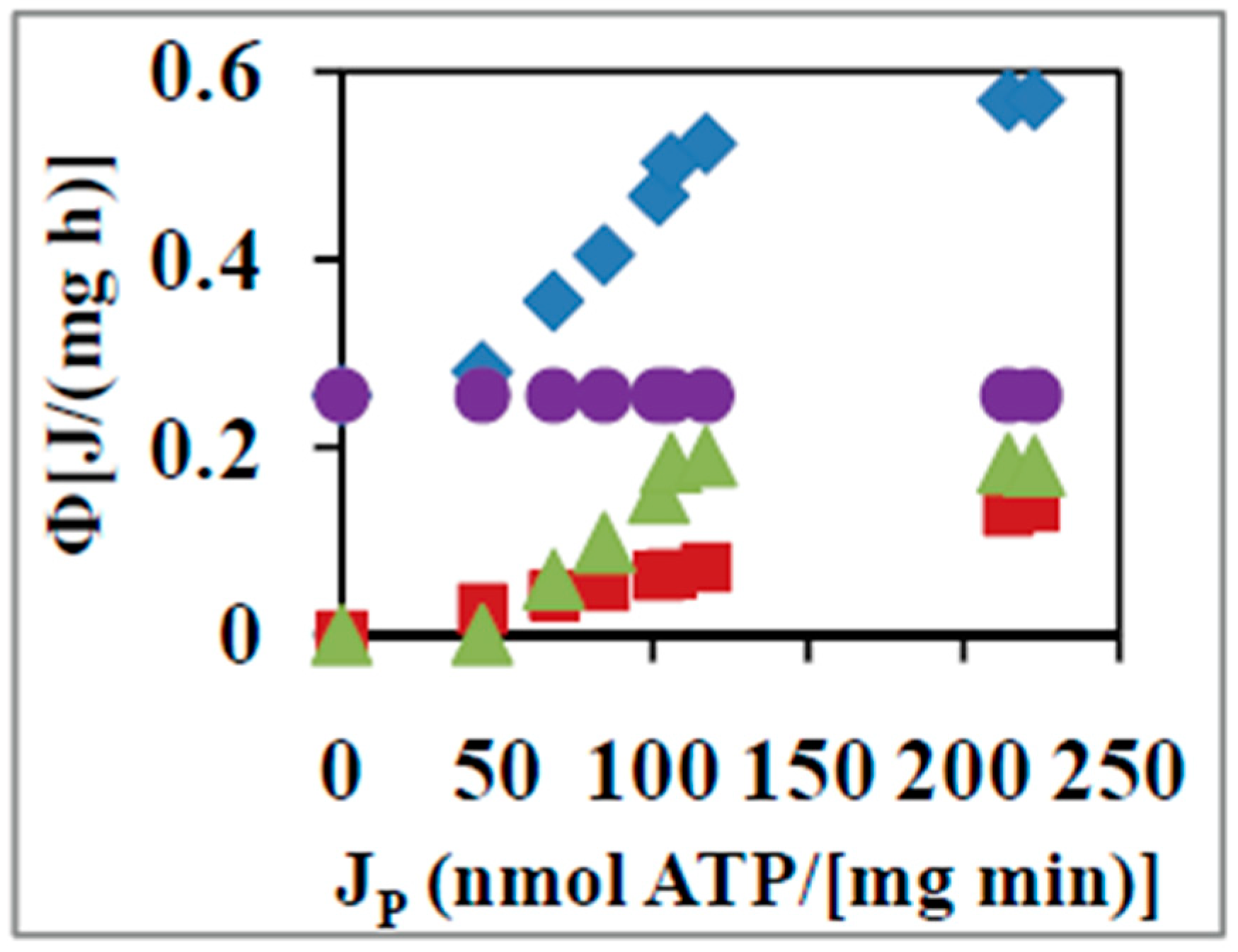 Entropy 21 00746 g002