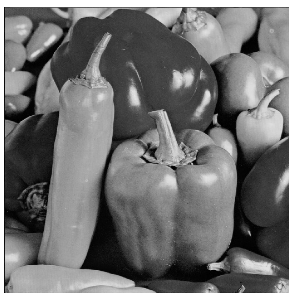 Entropy 21 00748 g004