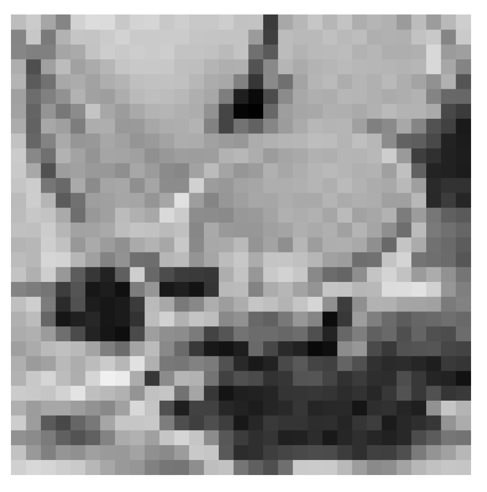 Entropy 21 00748 g005