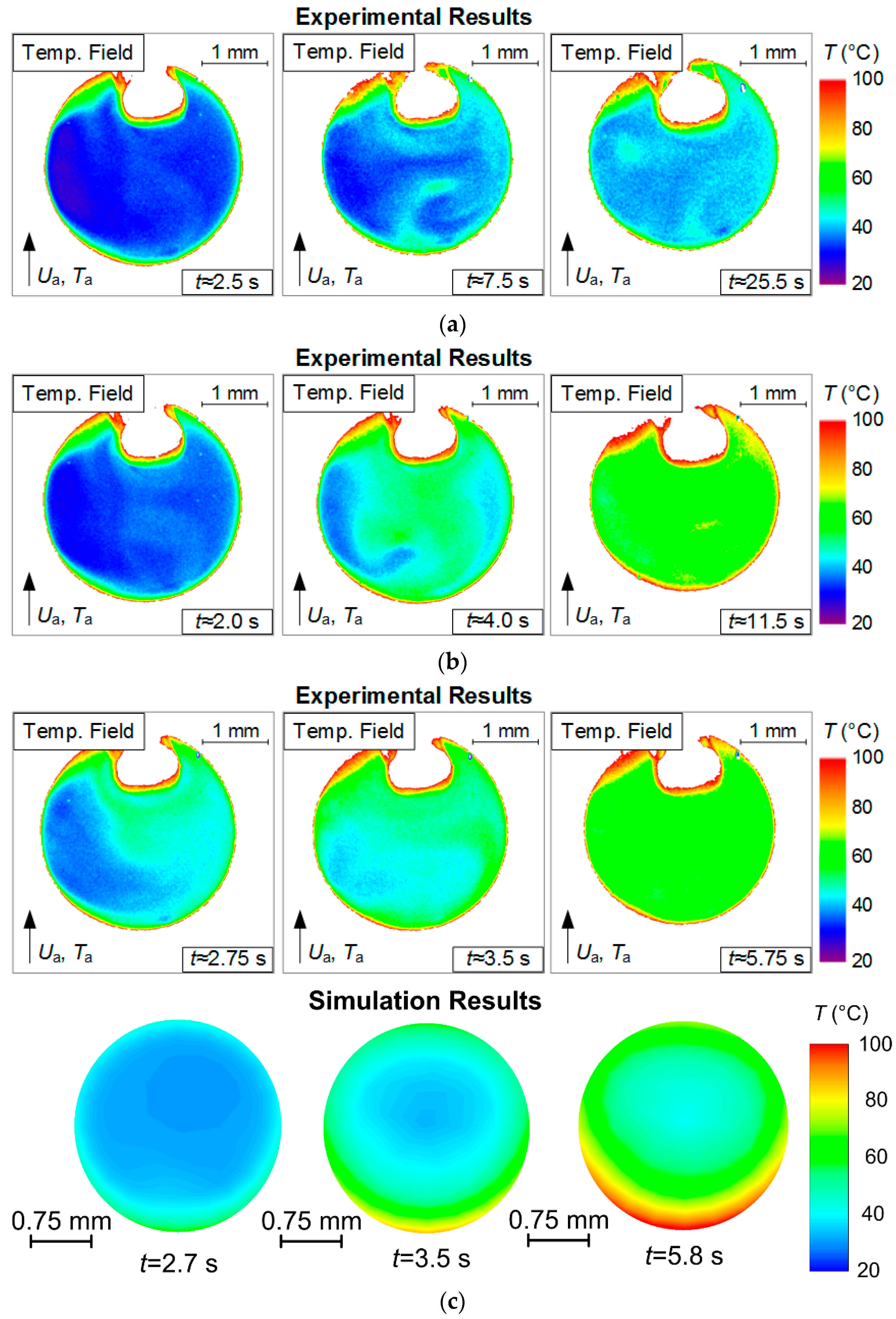 Entropy 21 00803 g004 Entropy 21 00803 g004