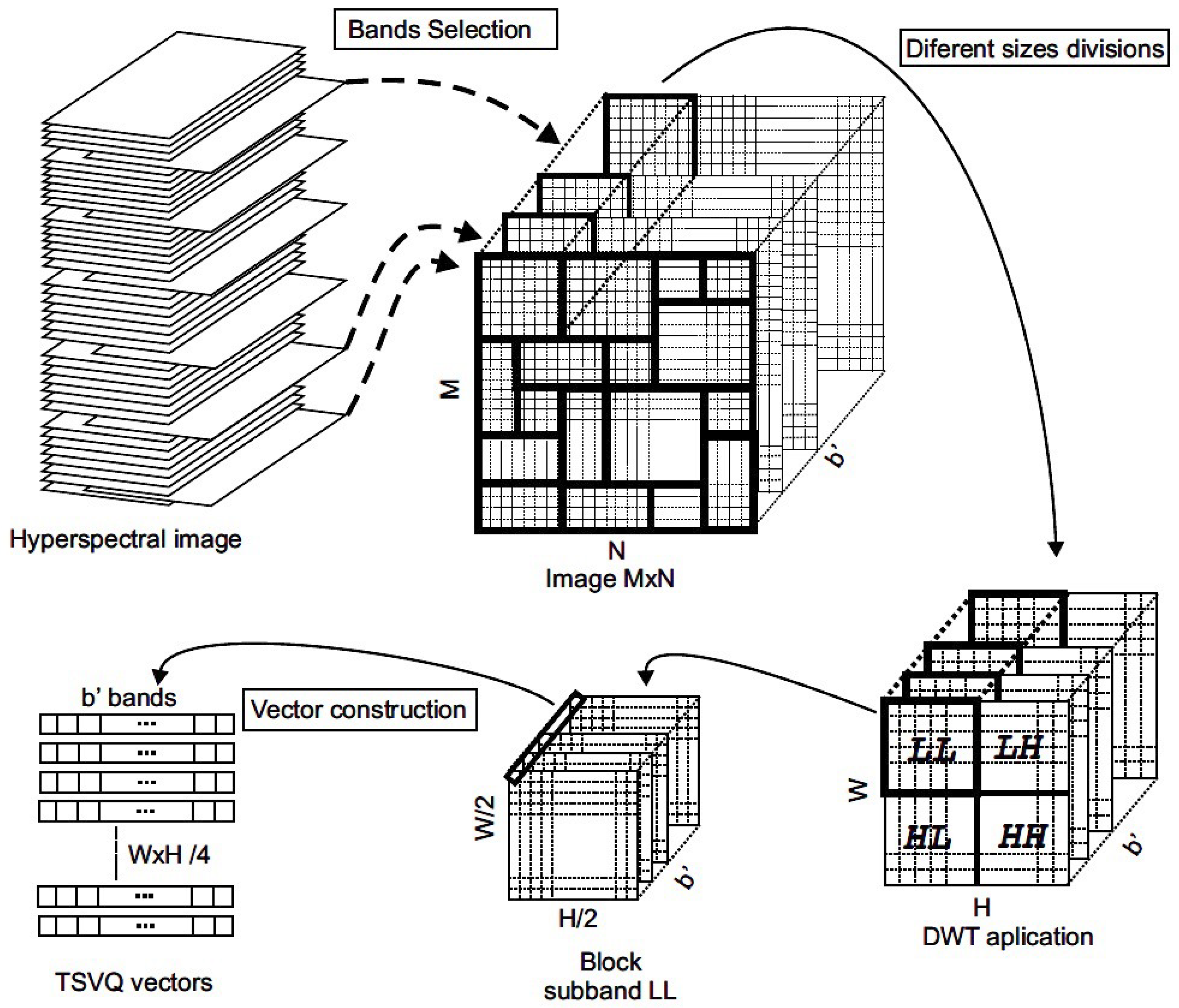 Entropy 21 00847 g003