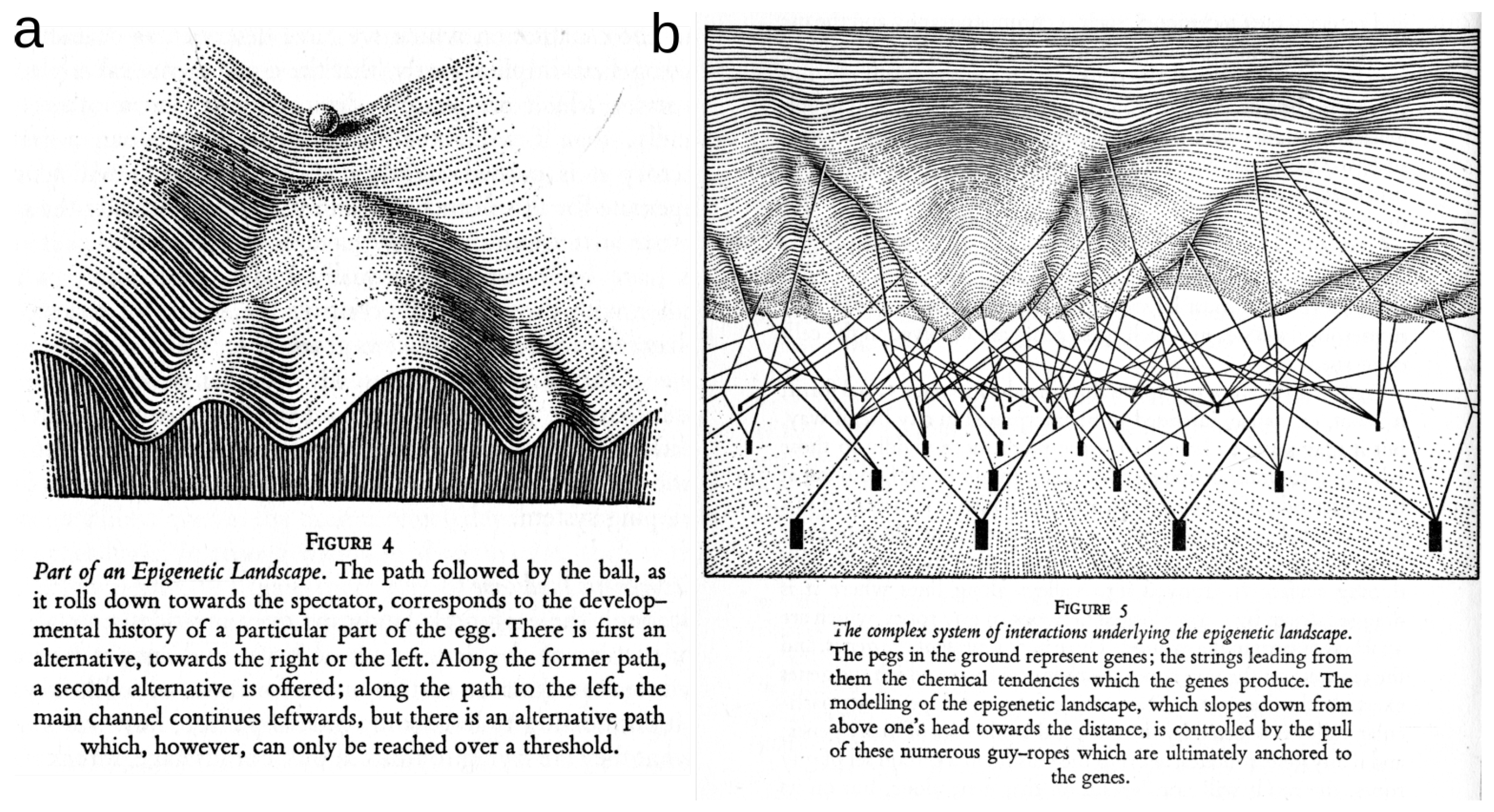 entropy machine learning entropy machine learning