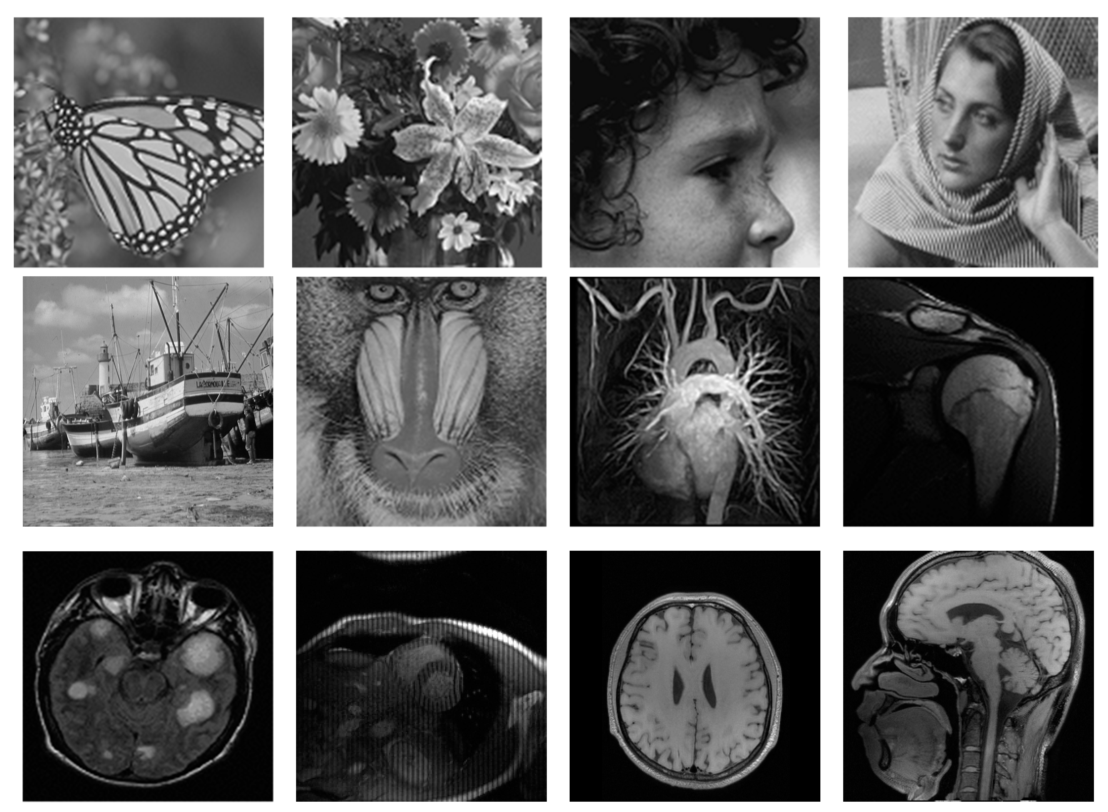 Entropy 21 00900 g003