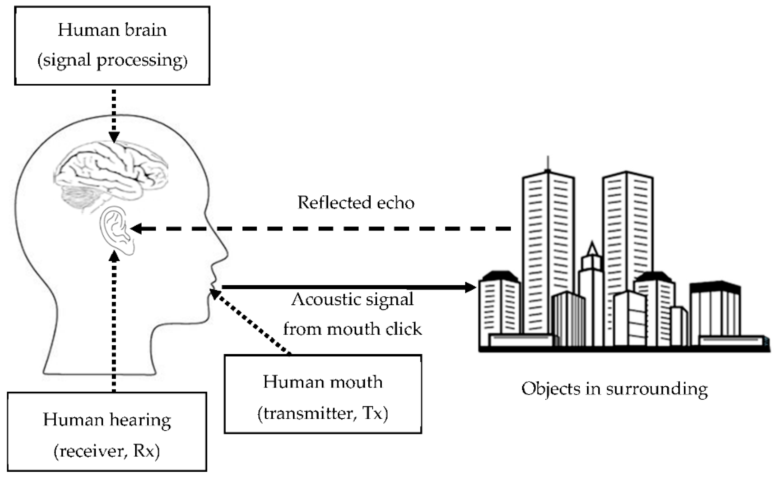 Entropy 21 00963 g001