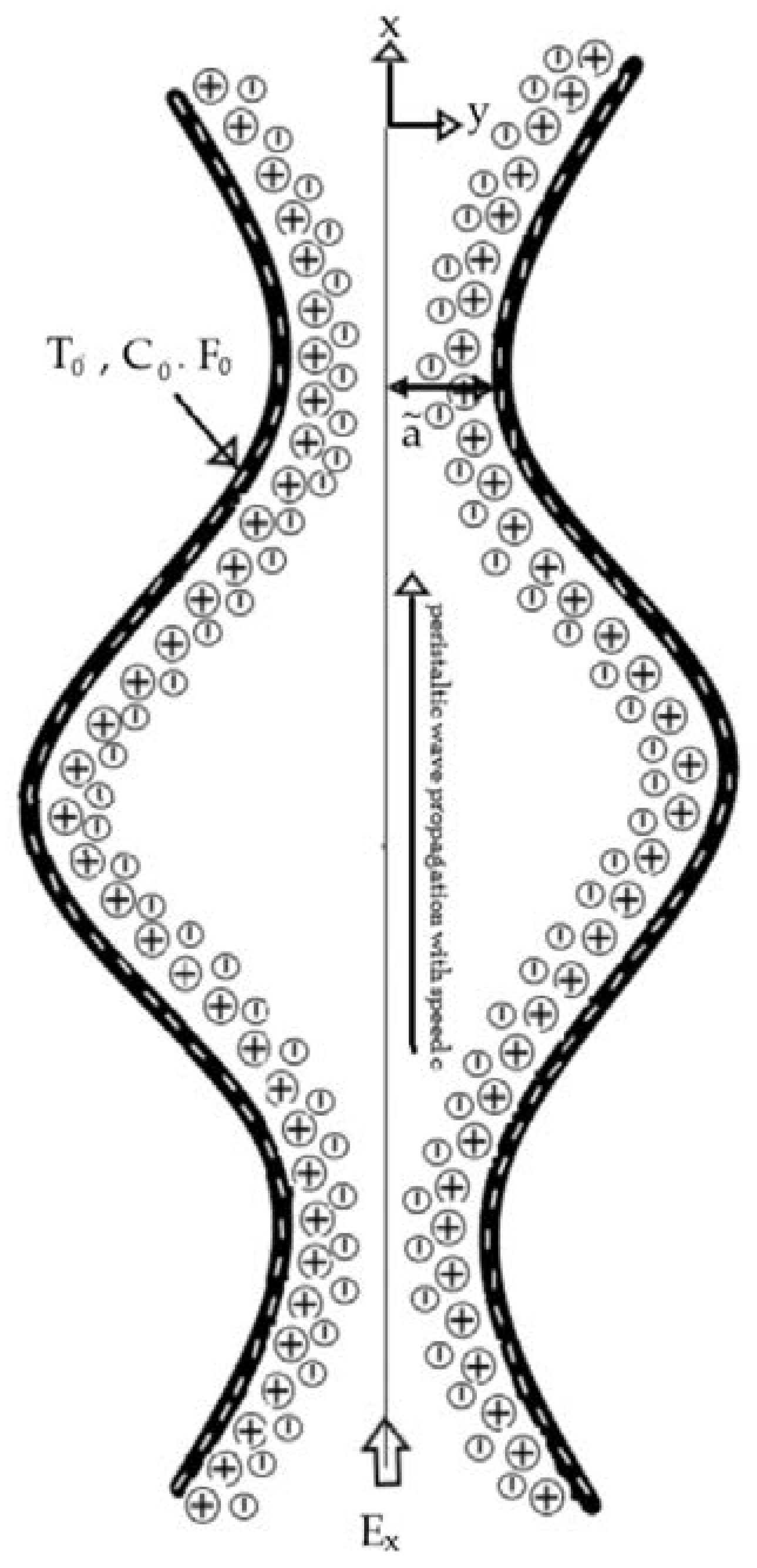 Entropy 21 00986 g001 Entropy 21 00986 g001