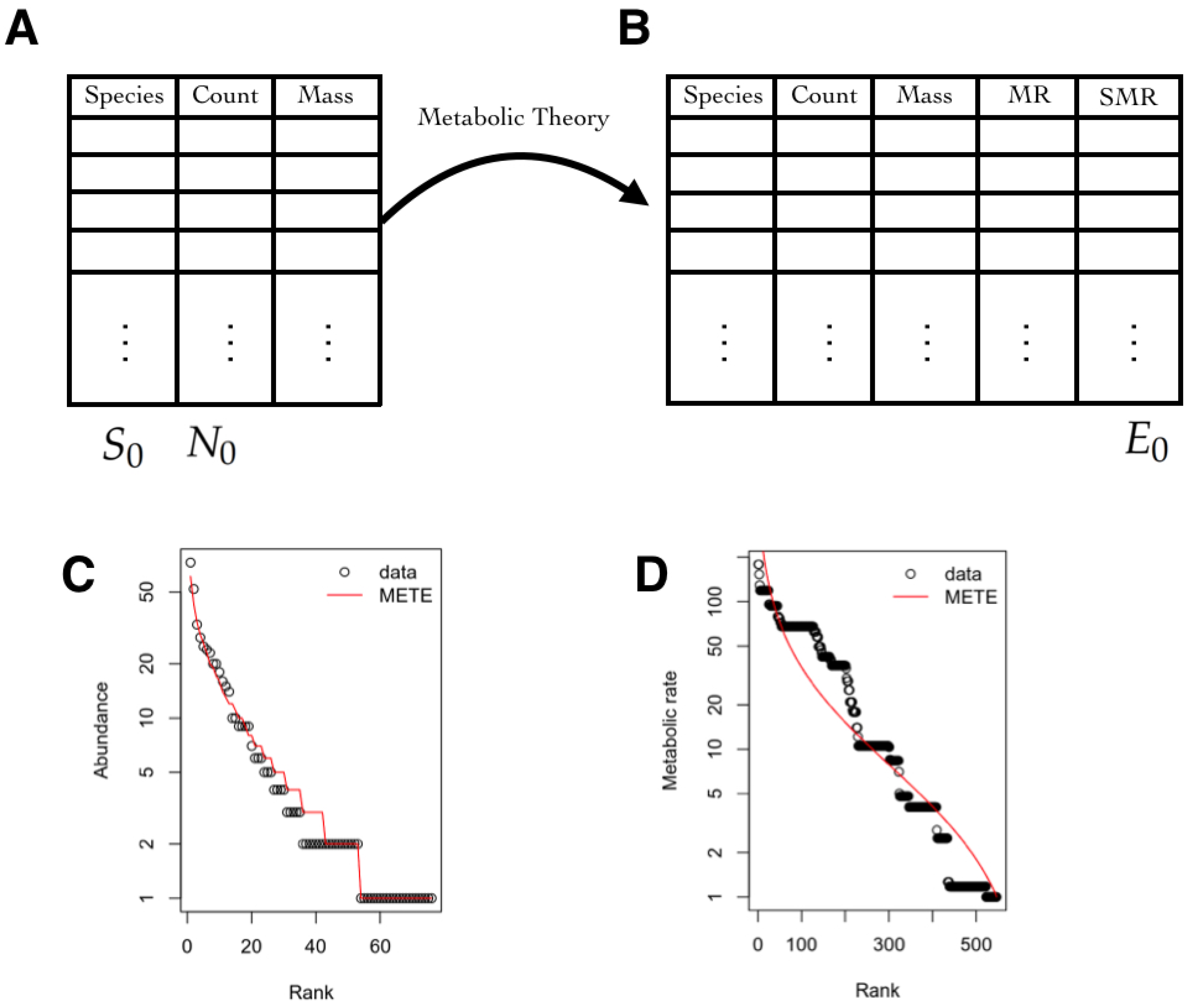 Entropy 21 01009 g005
