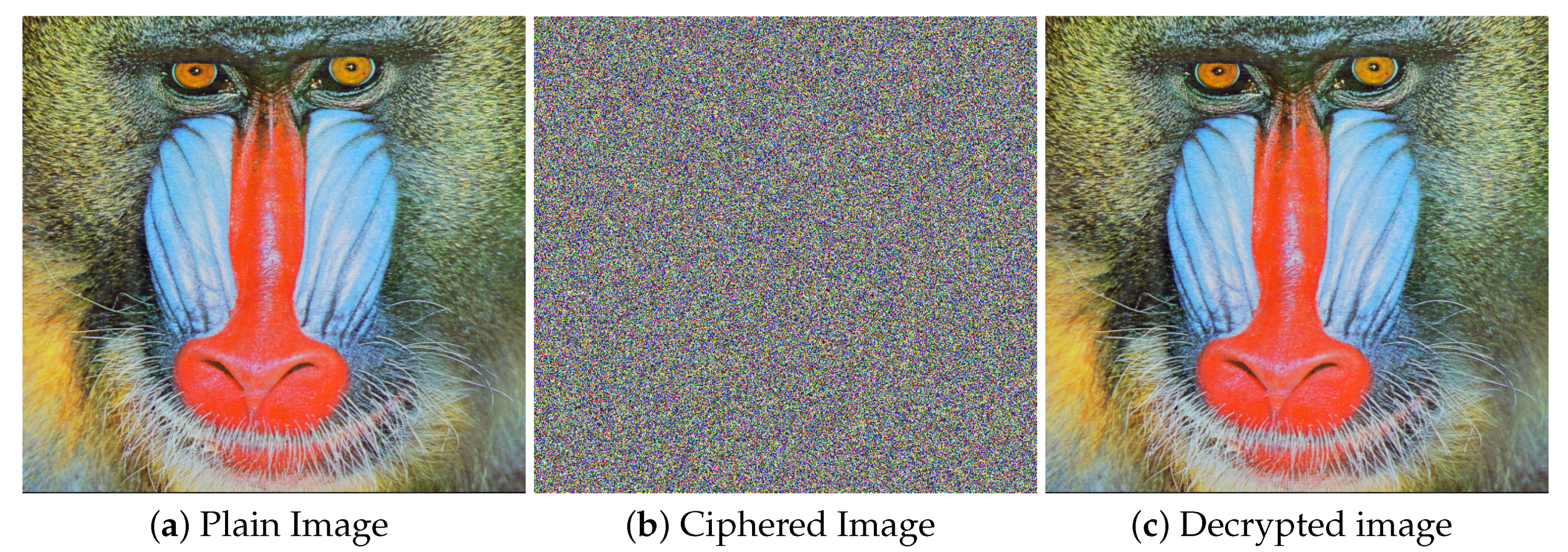 Entropy 21 01075 g008