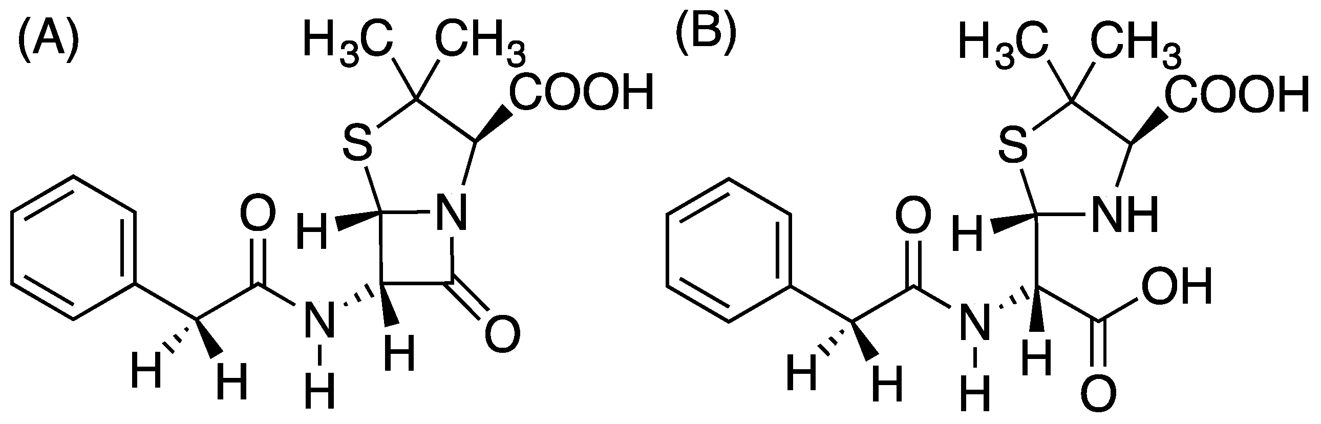 Entropy 21 01130 g001 Entropy 21 01130 g001