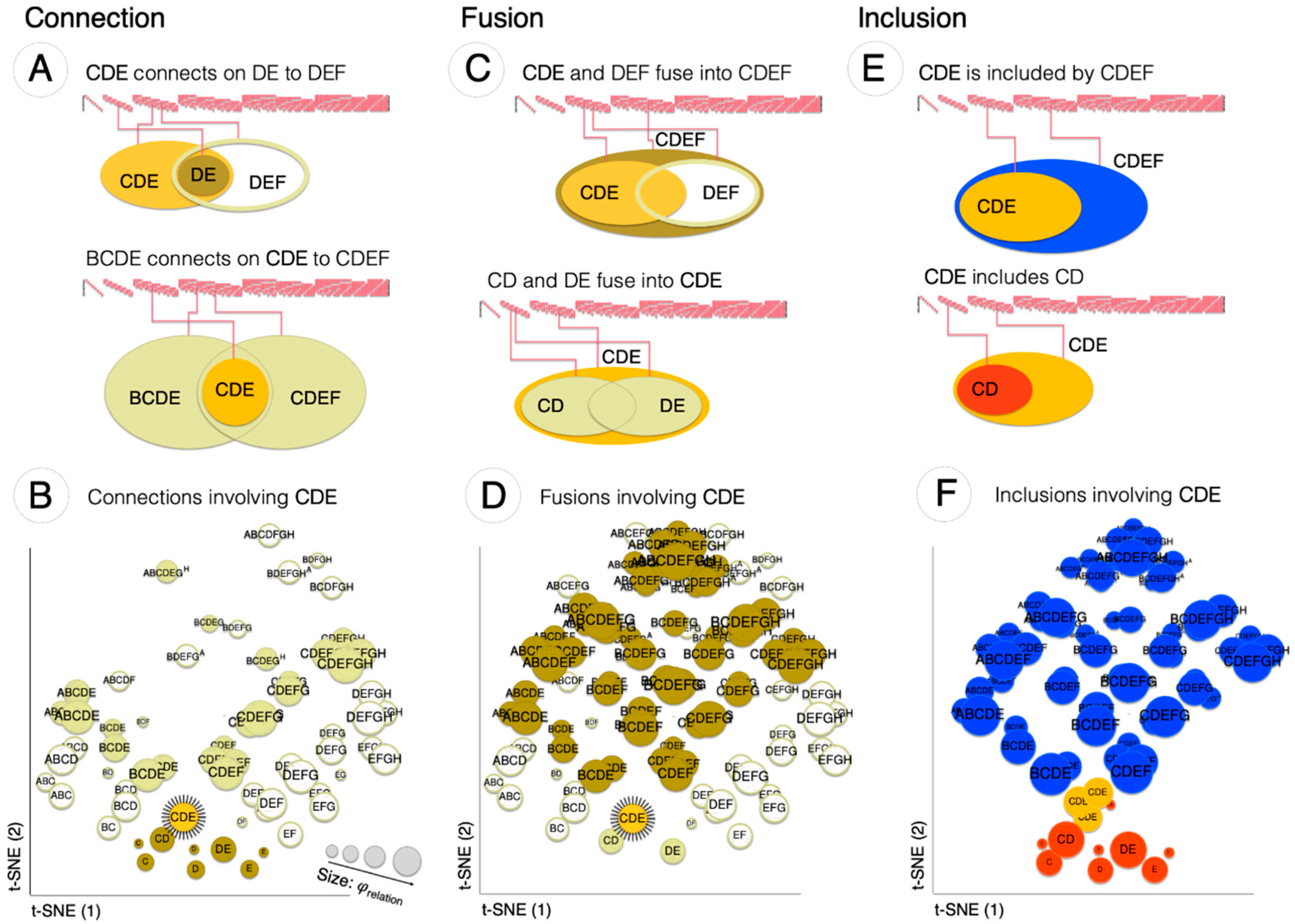 Entropy 21 01160 g007