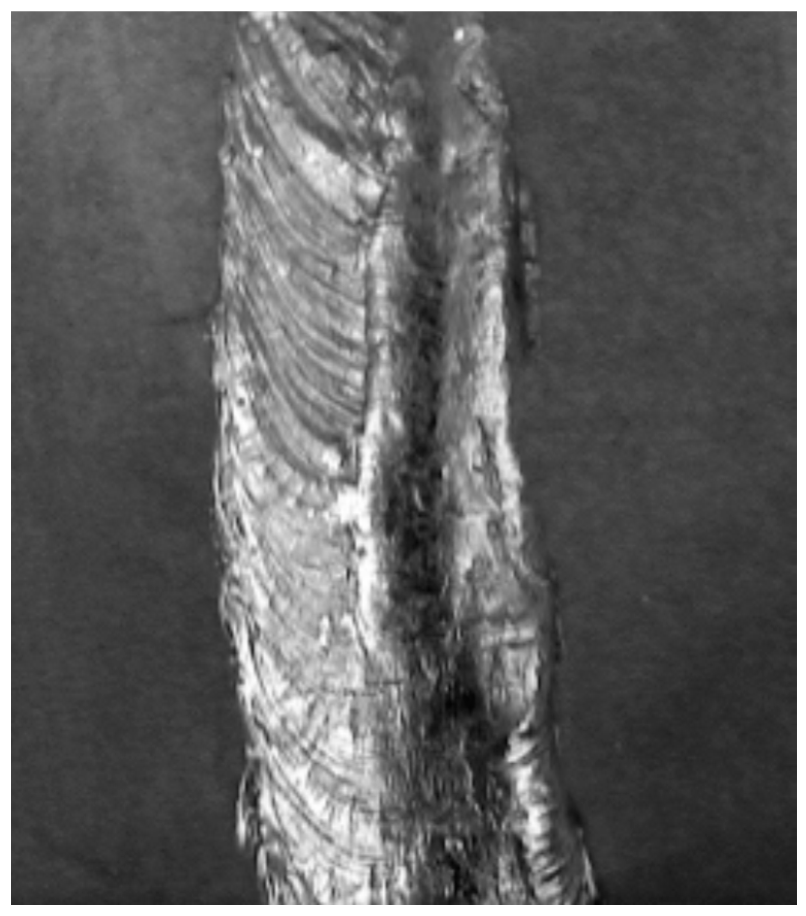 Entropy 21 01168 g001