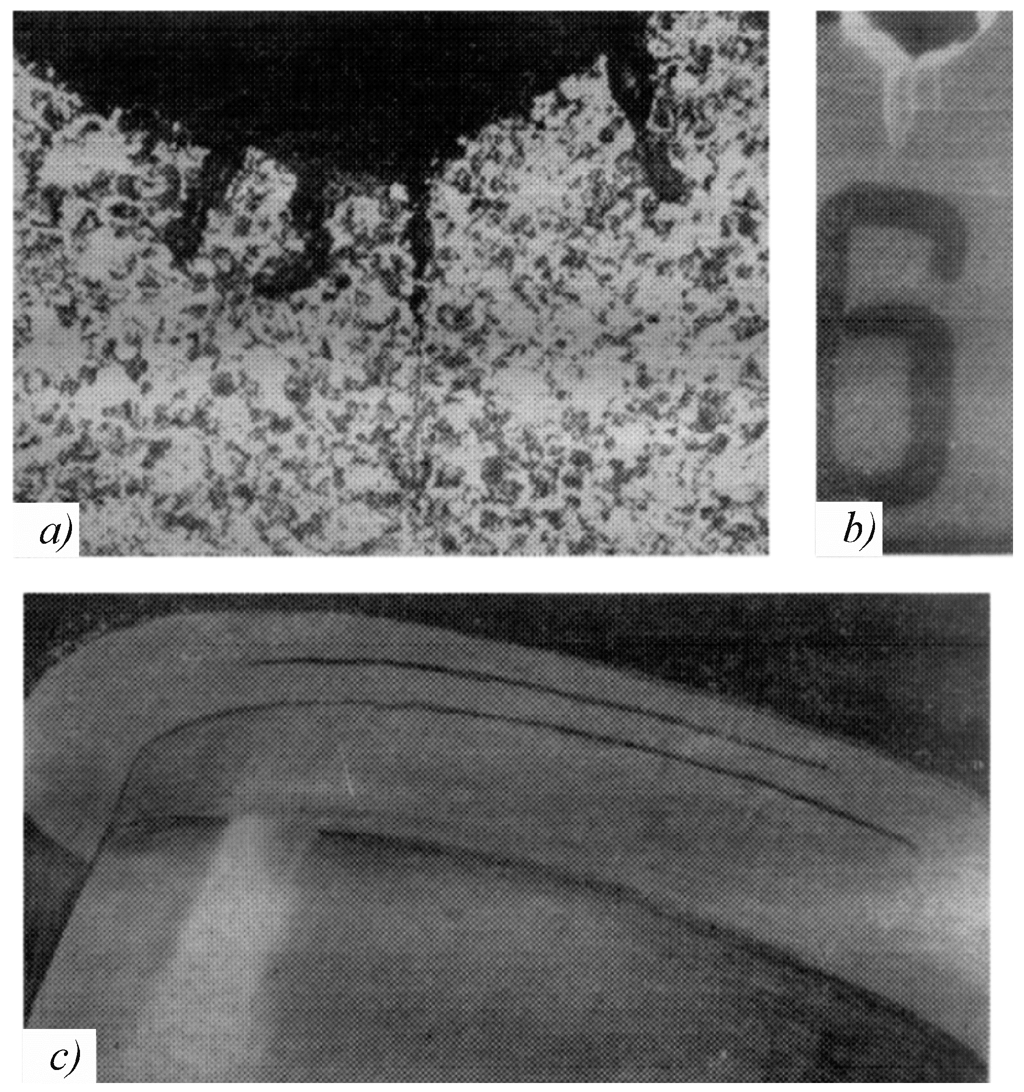 Entropy 21 01188 g003