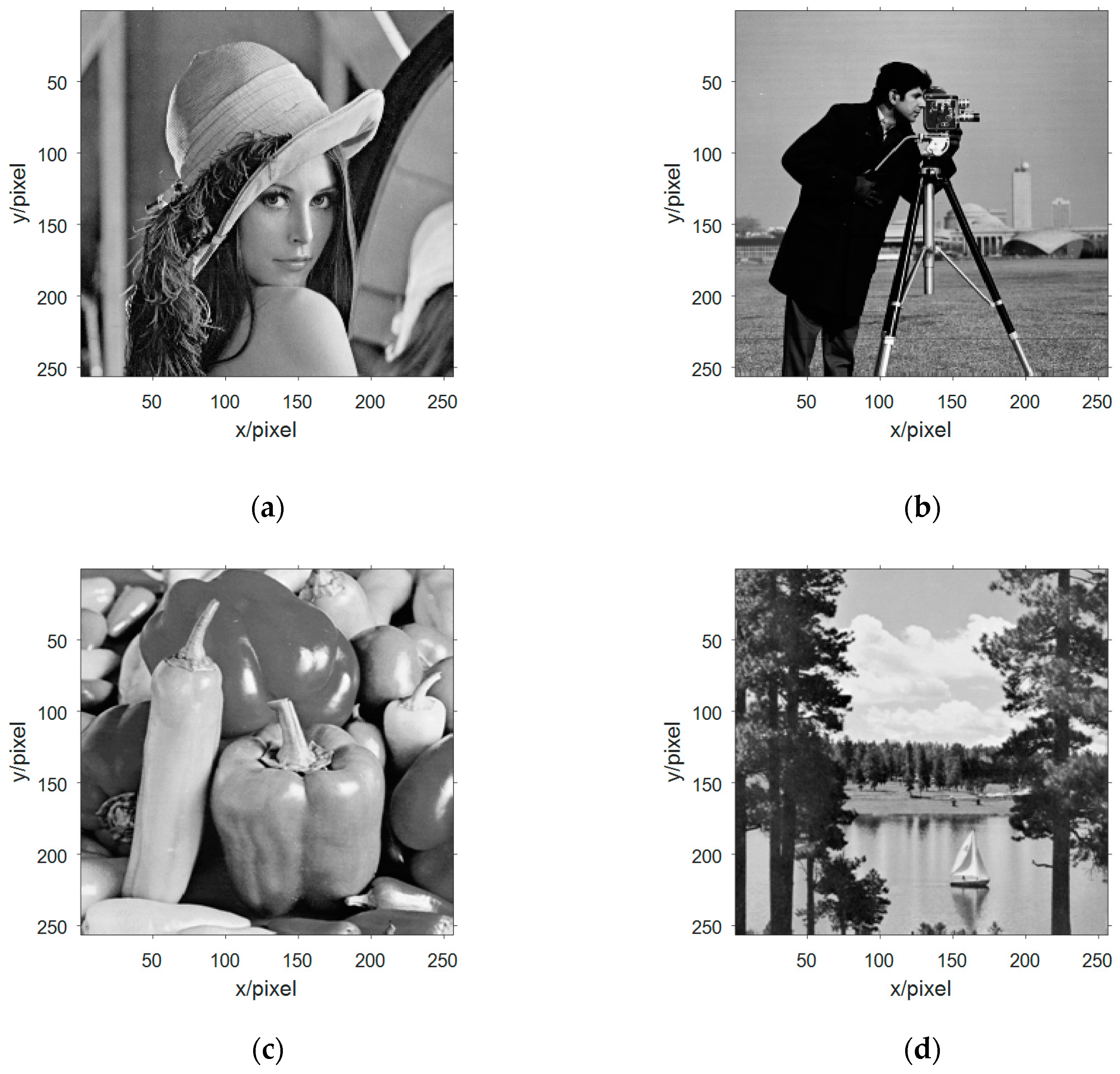 Entropy 21 01192 g006 Entropy 21 01192 g006