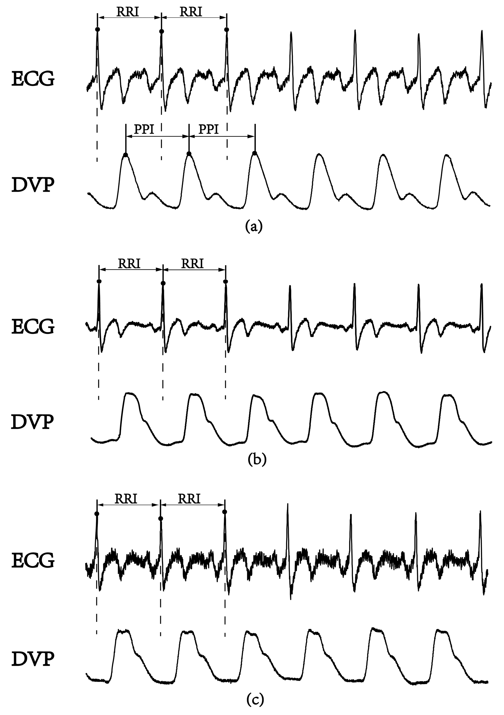 Entropy 21 01229 g001 Entropy 21 01229 g001